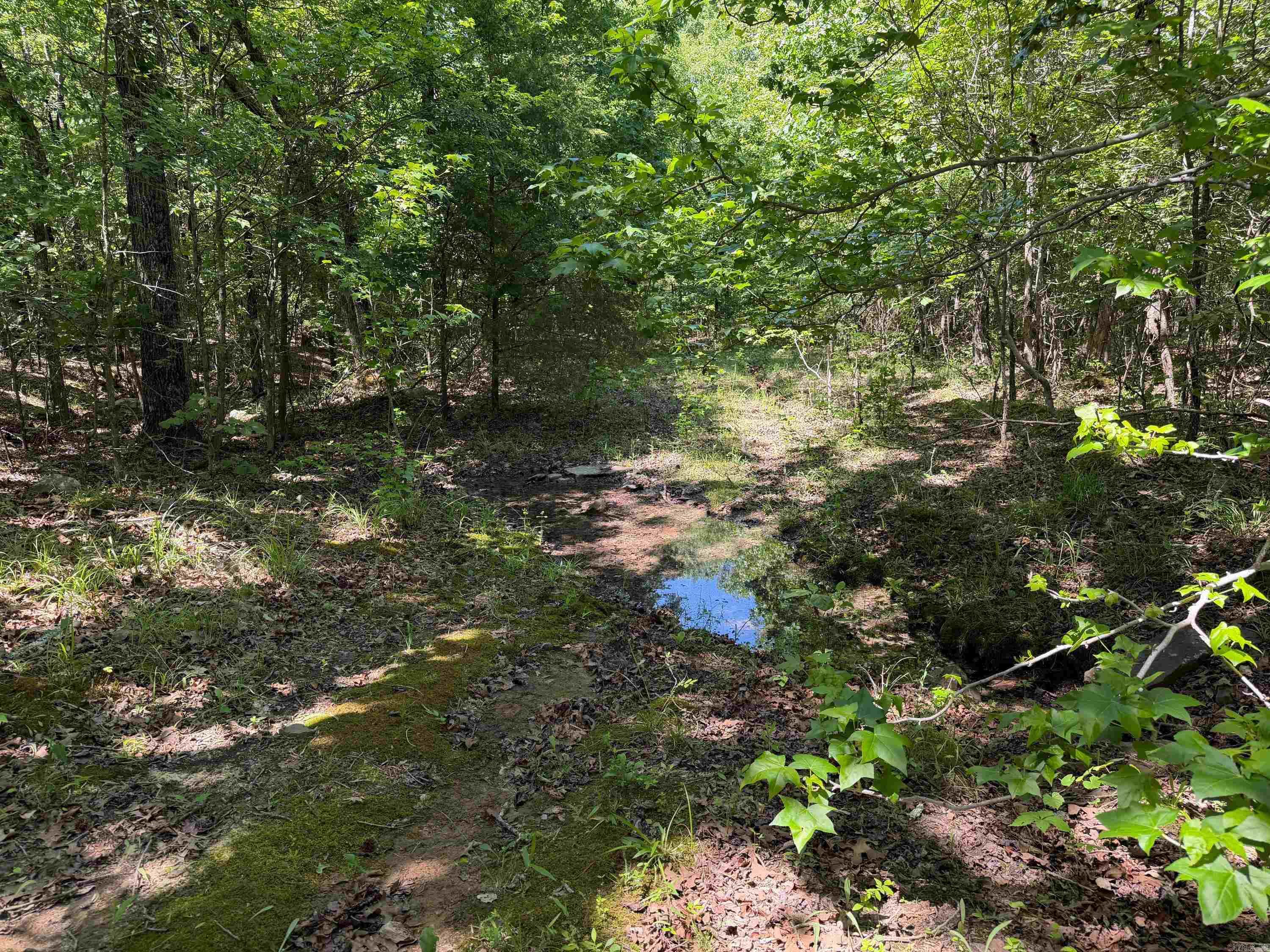 Overlook Dr Property Photo 10