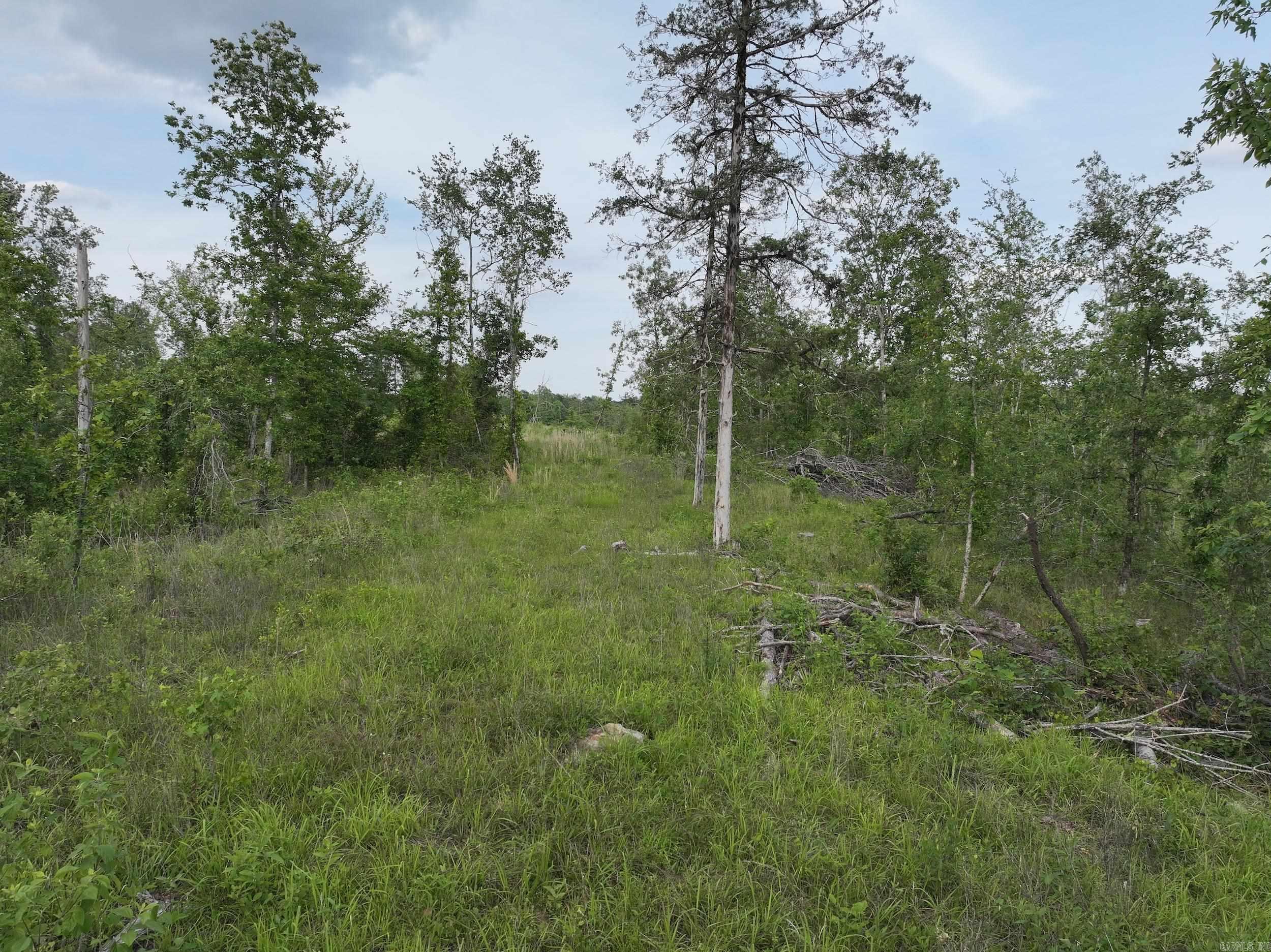Xxx Mcgrew Property Photo 9