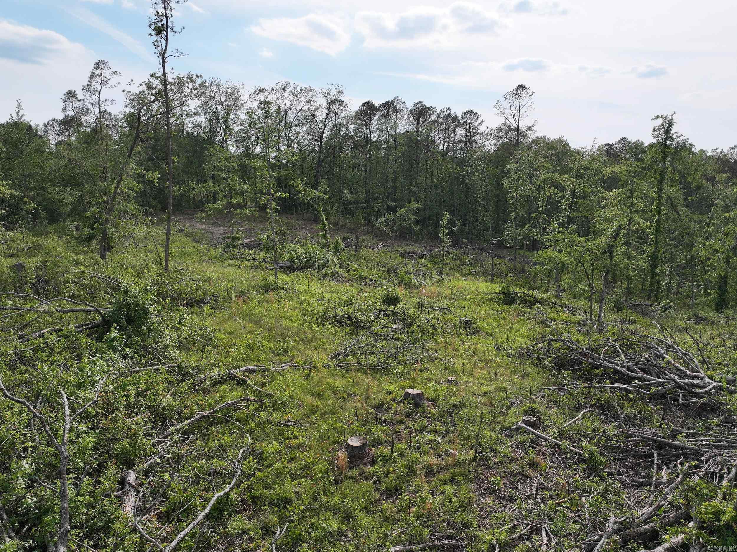 Xxx Mcgrew Property Photo 11