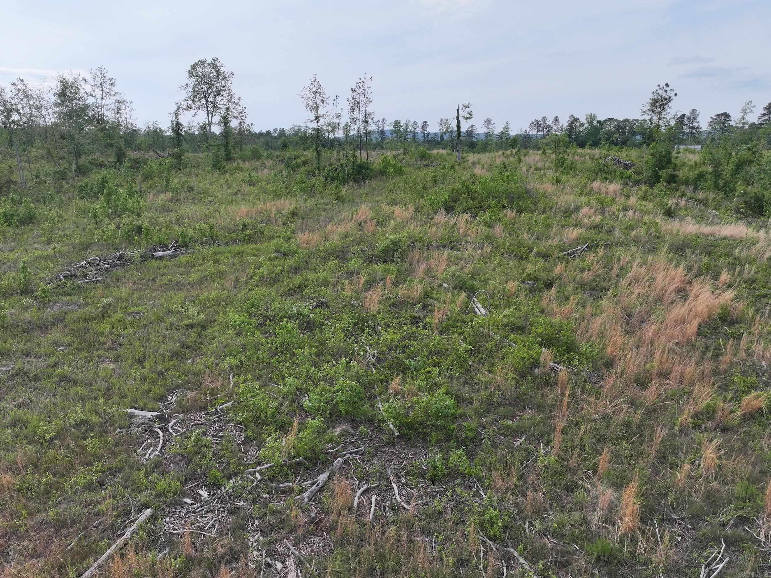 Xxx Mcgrew Property Photo 16