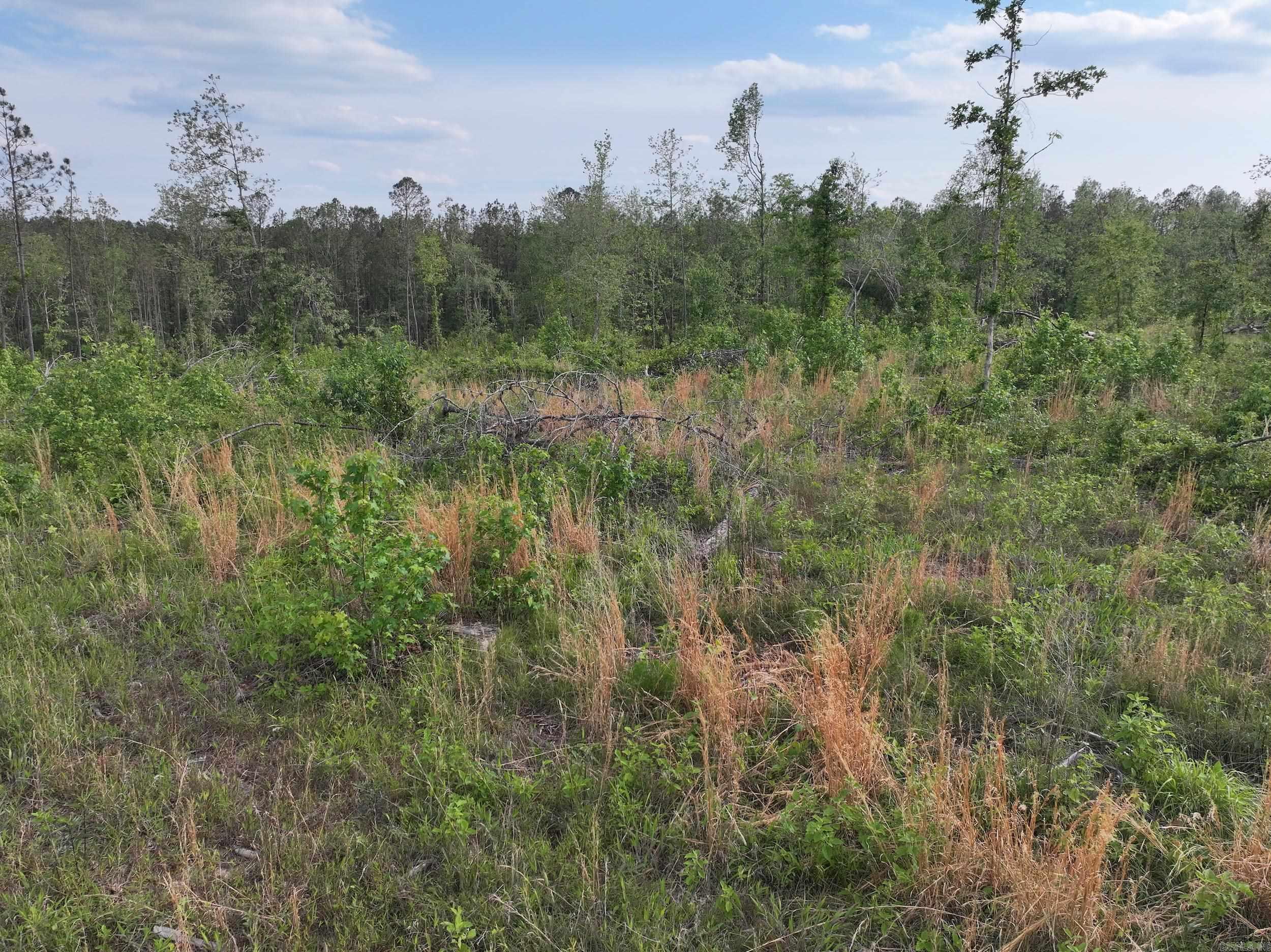 Xxx Mcgrew Property Photo 18