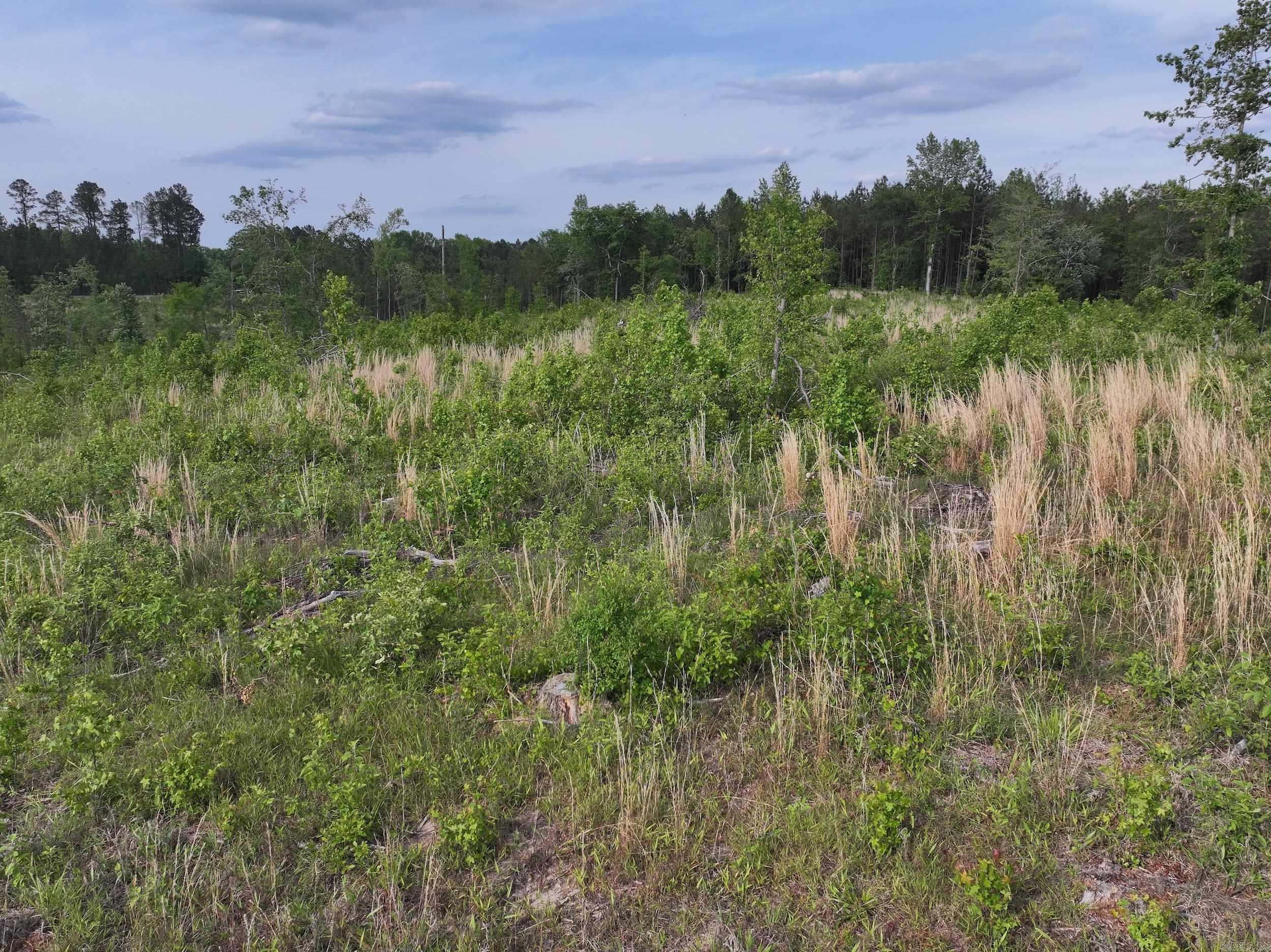 Xxx Mcgrew Property Photo 20