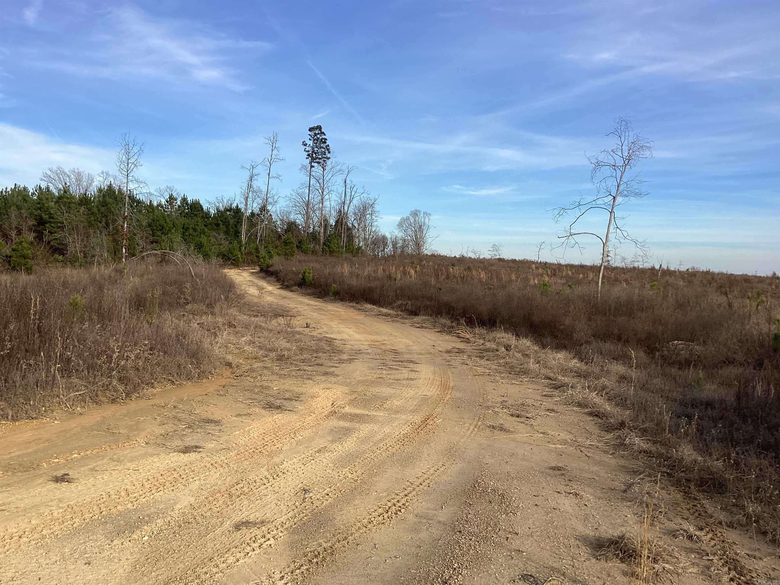 0000 Davidson Campground Road Property Photo 2