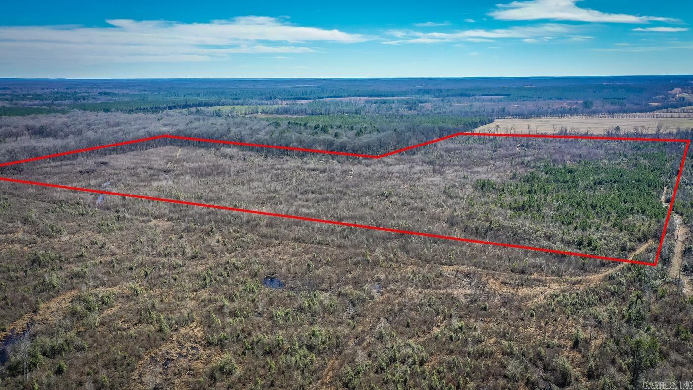 0000 Davidson Campground Road Property Photo 6