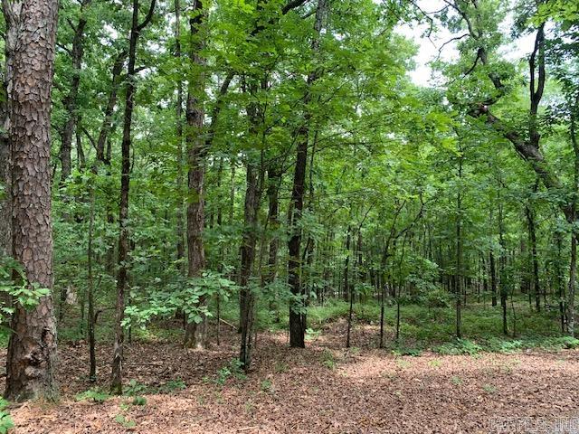 Lots 44 & 45 Lakeview Drive Property Photo 1