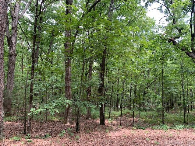 Lots 44 & 45 Lakeview Drive Property Photo 3