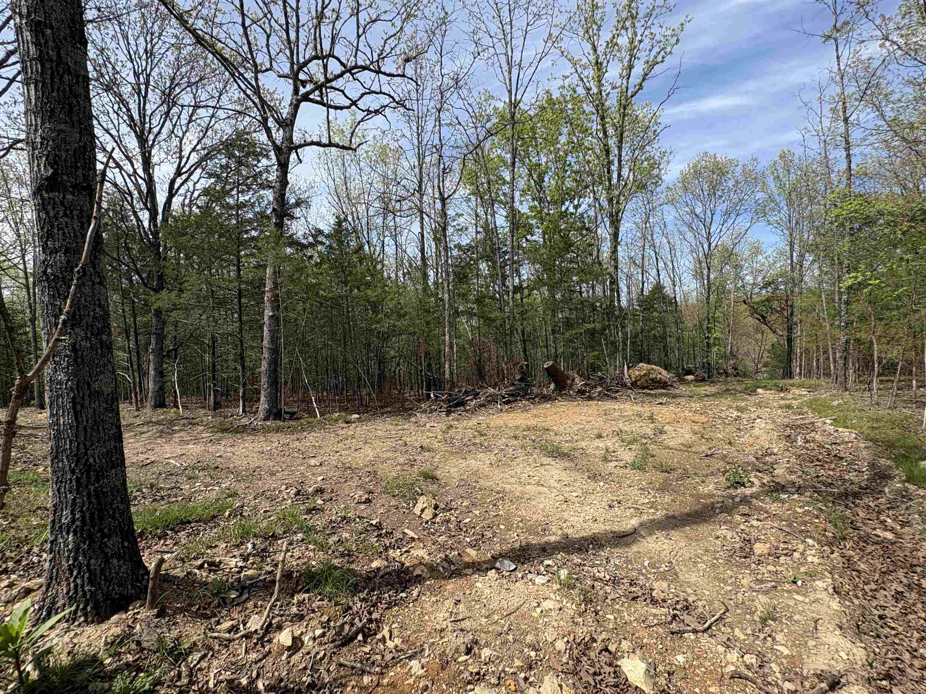 3044 Buford Cutoff Property Photo 13