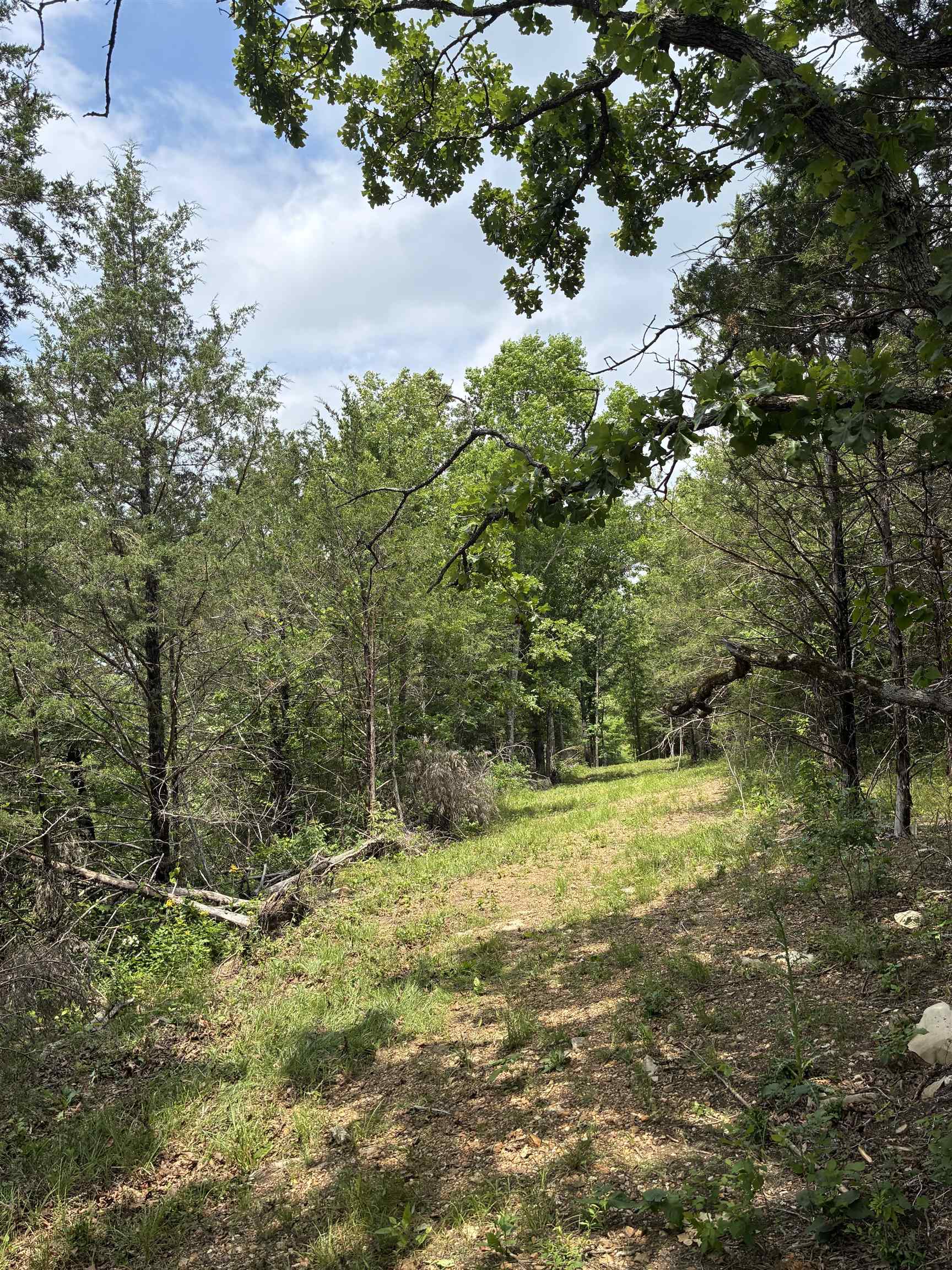 3044 Buford Cutoff Property Photo 21