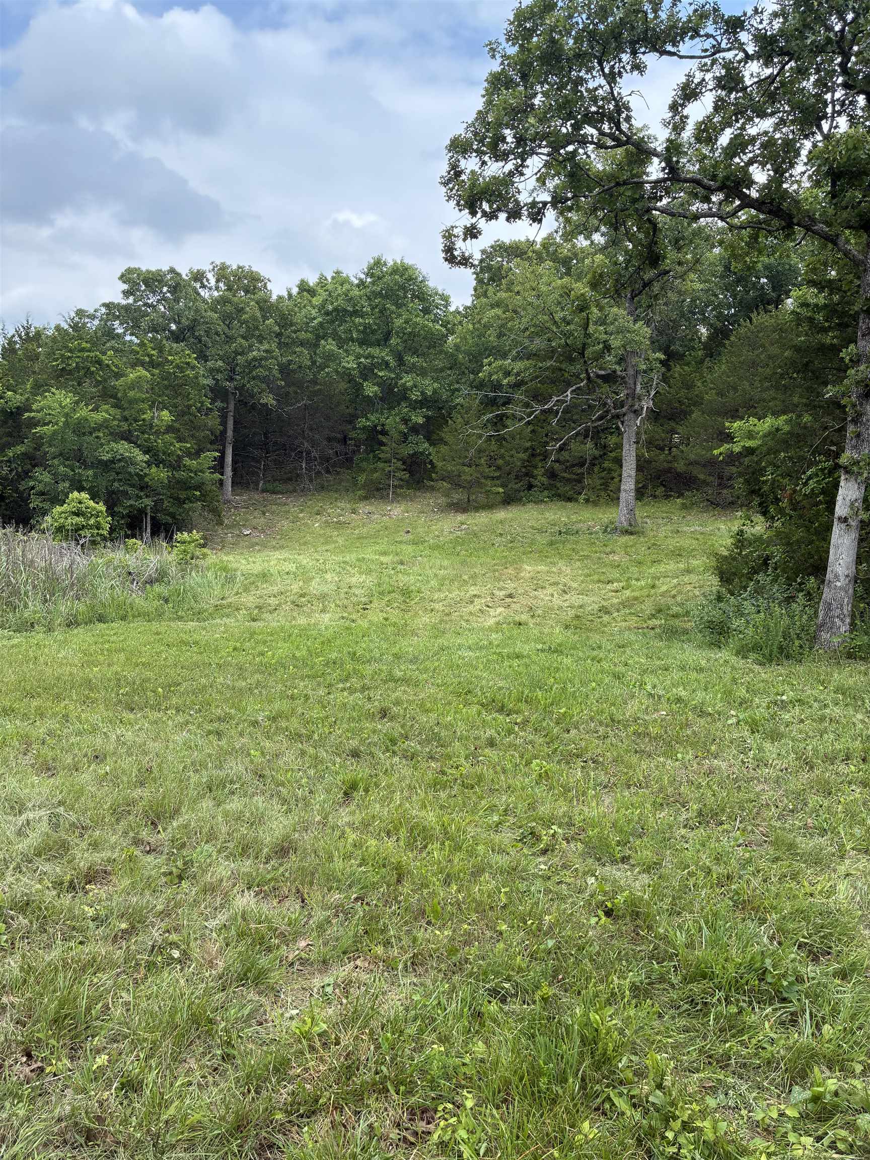 3044 Buford Cutoff Property Photo 23