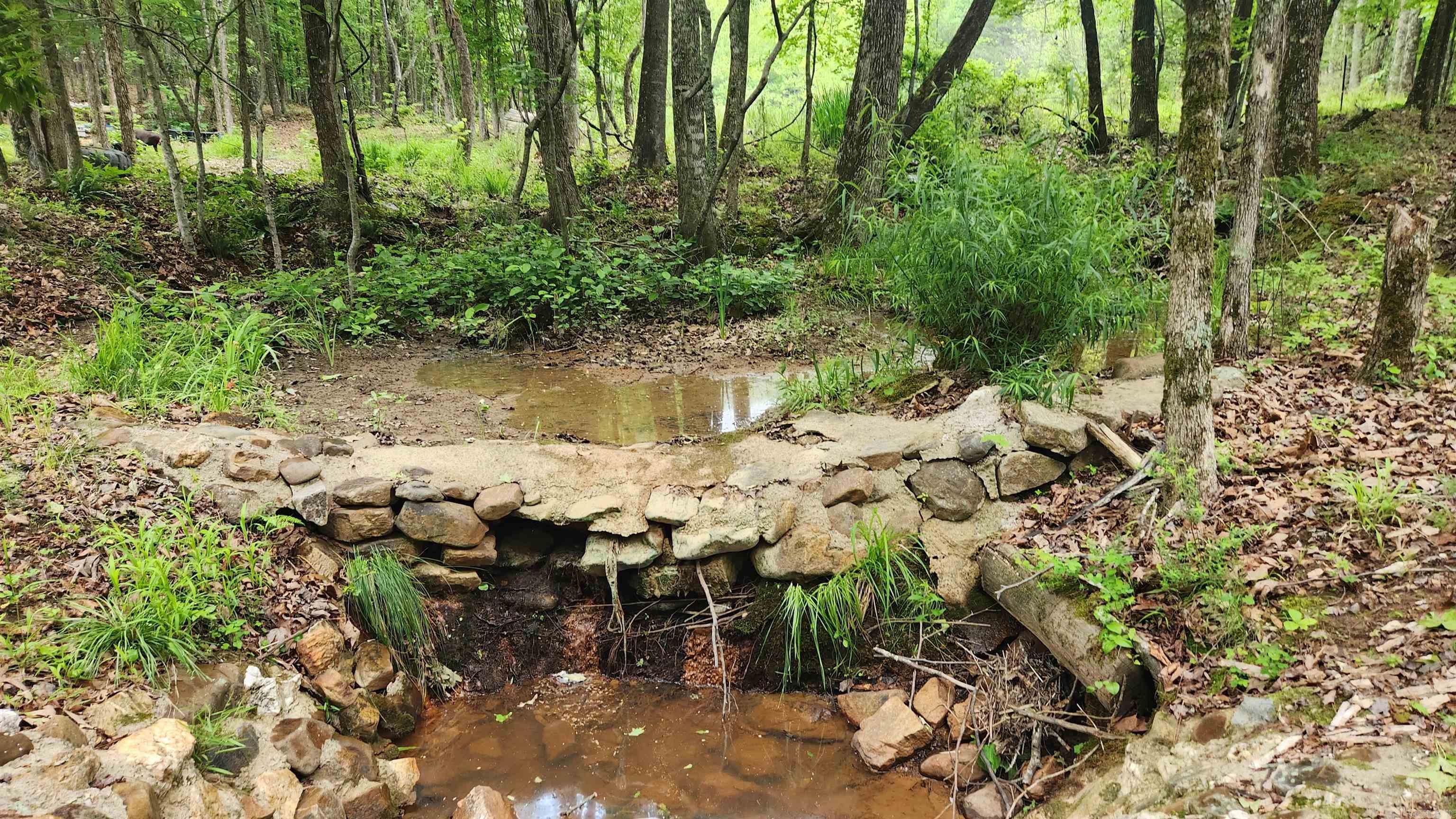 598 Ryan Road Property Photo 21