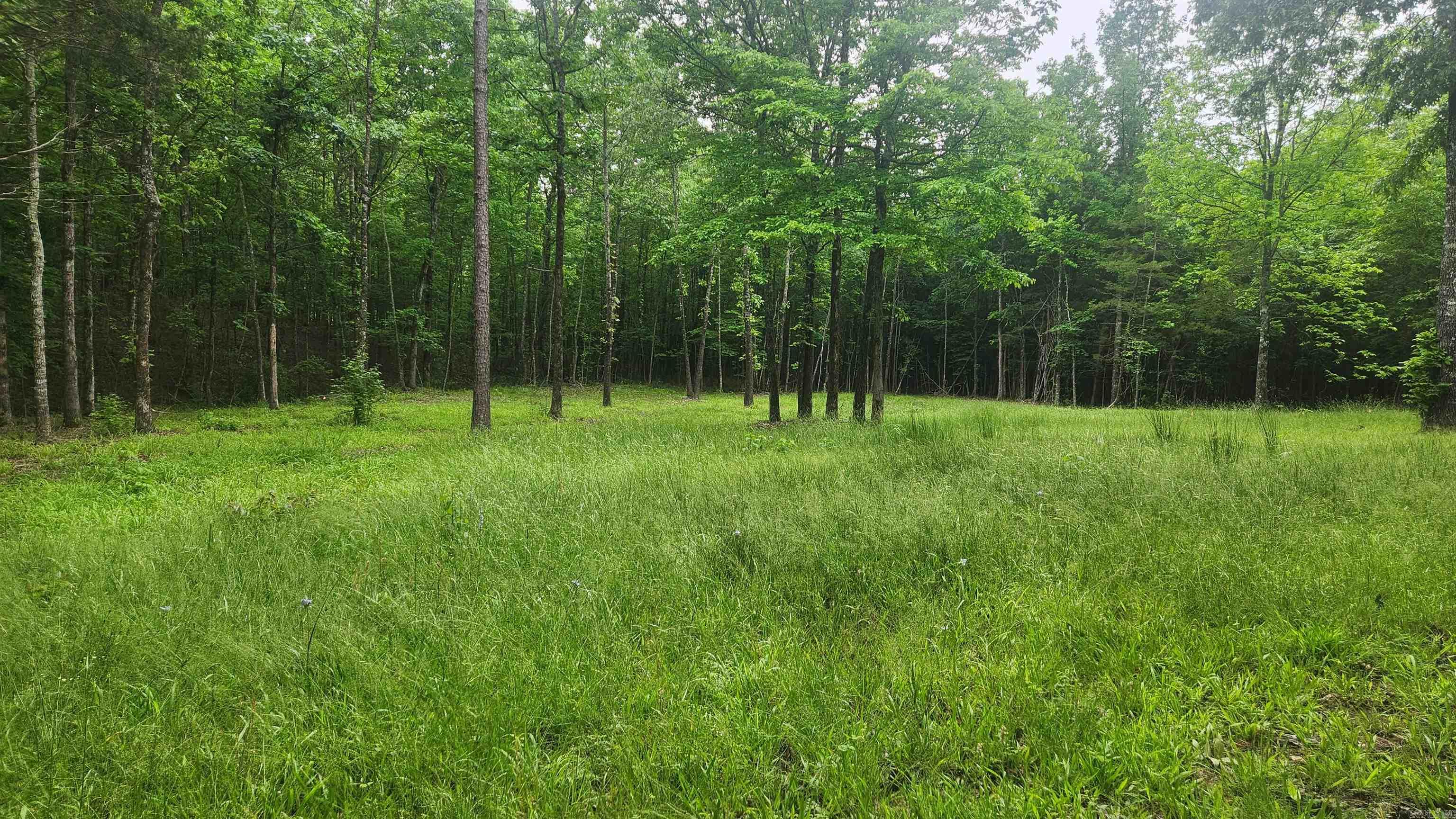 598 Ryan Road Property Photo 22