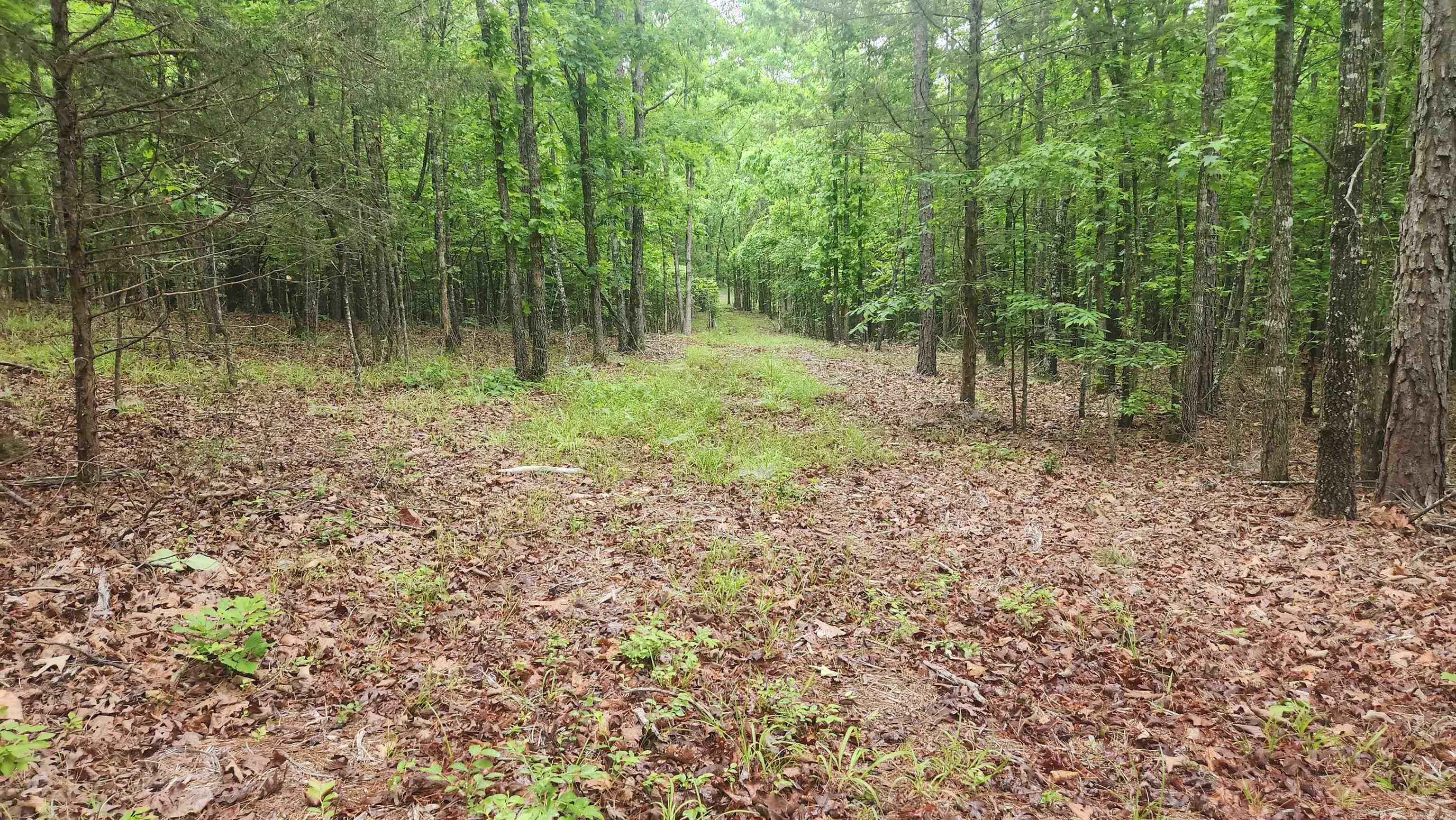 598 Ryan Road Property Photo 23