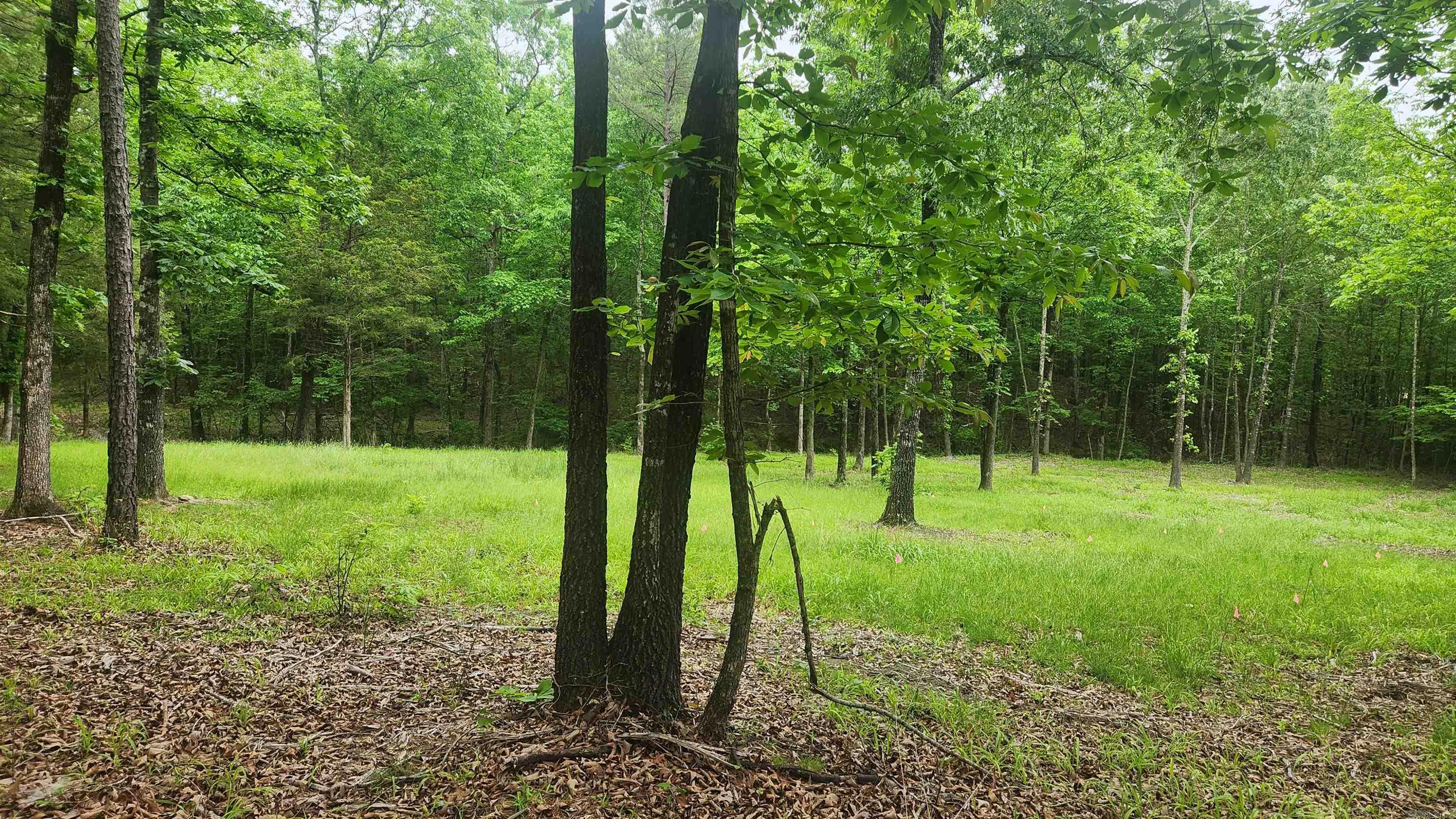 598 Ryan Road Property Photo 24