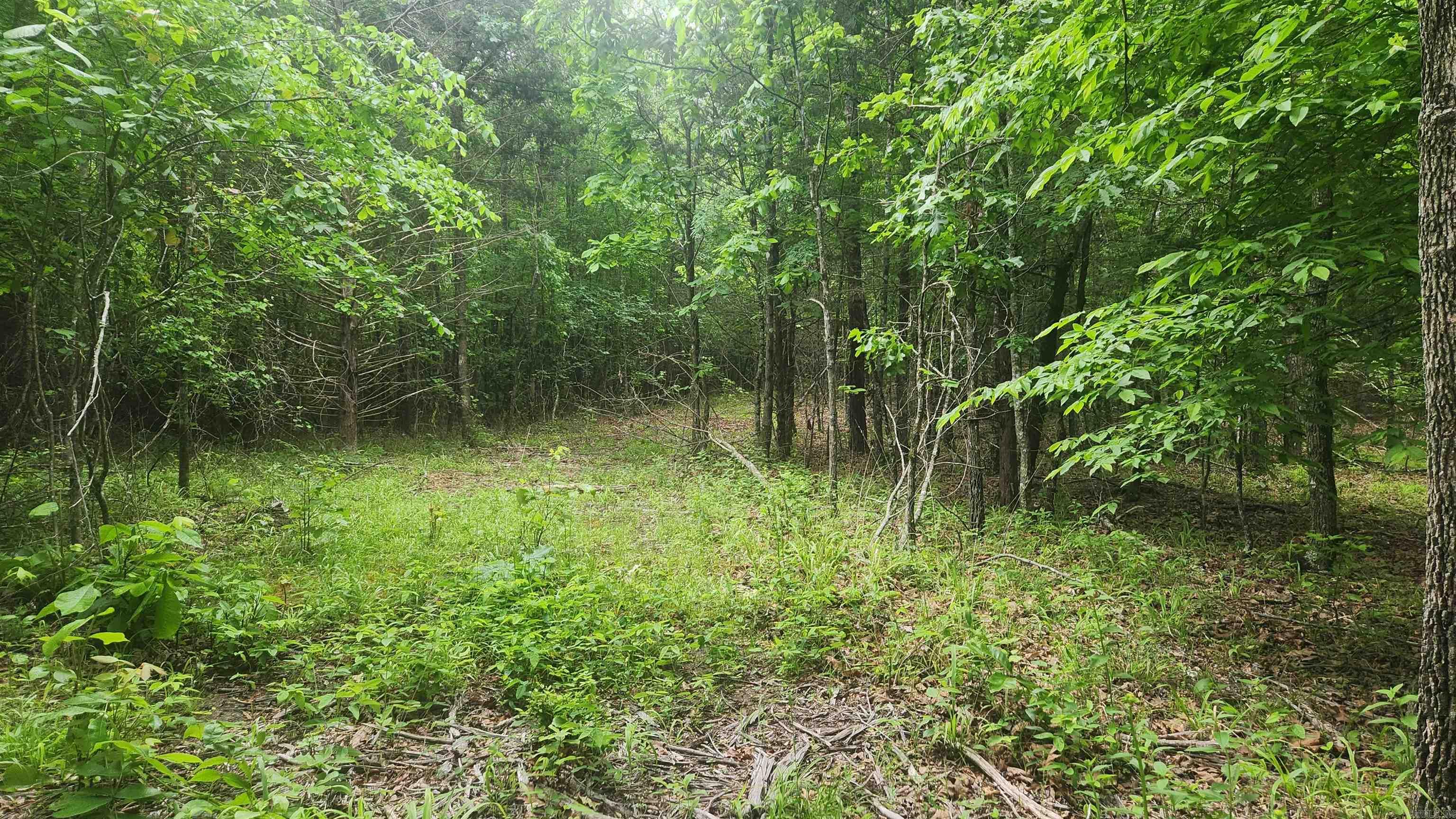 598 Ryan Road Property Photo 27