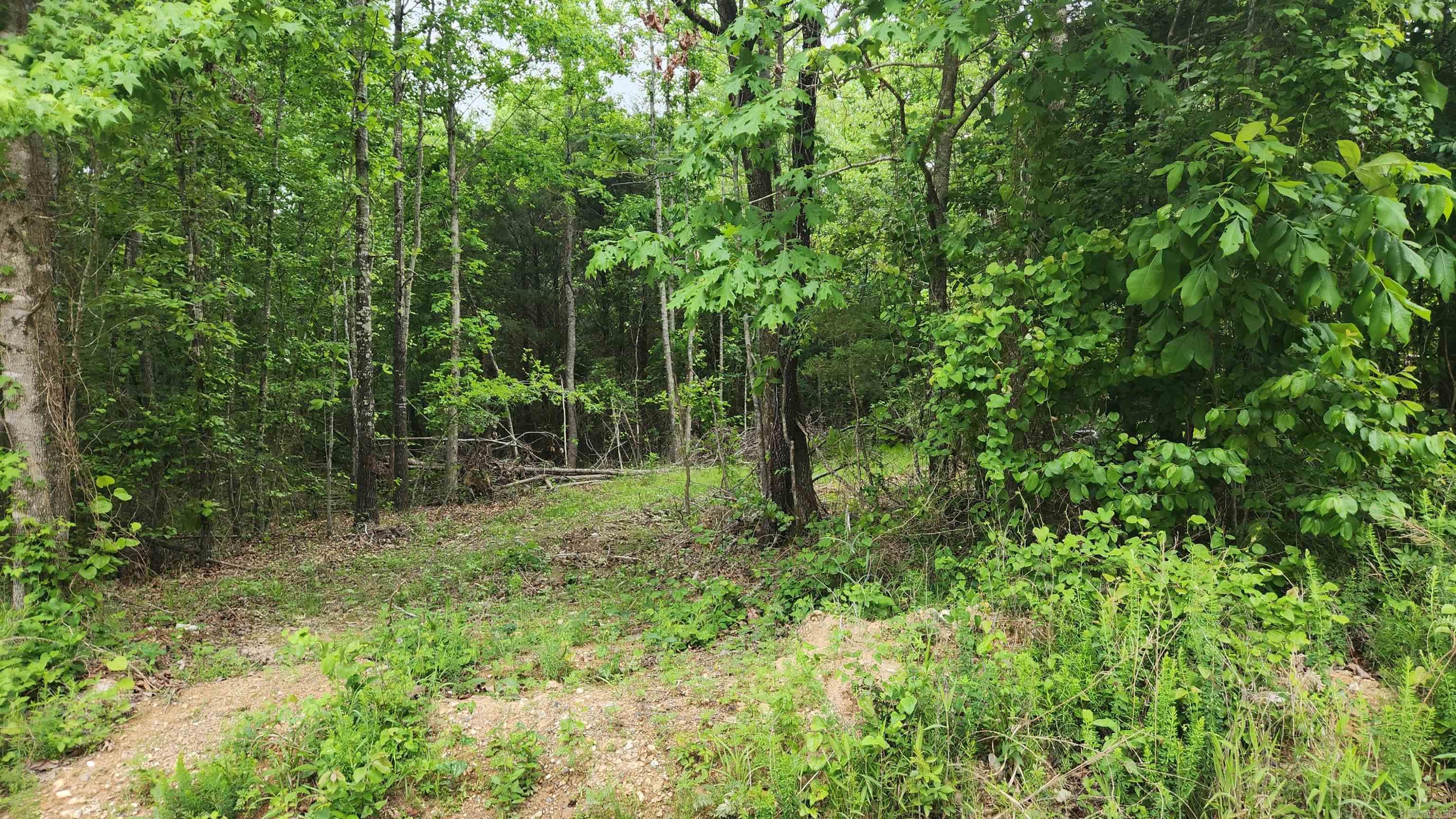 598 Ryan Road Property Photo 28