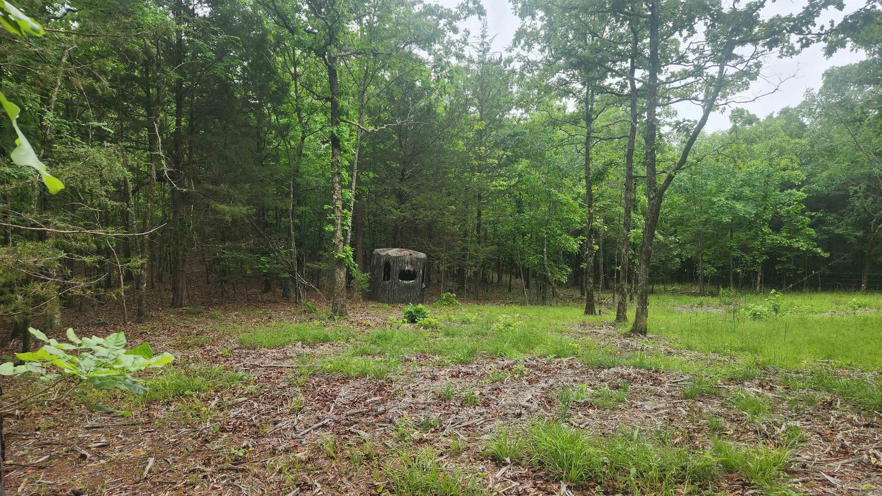 598 Ryan Road Property Photo 31