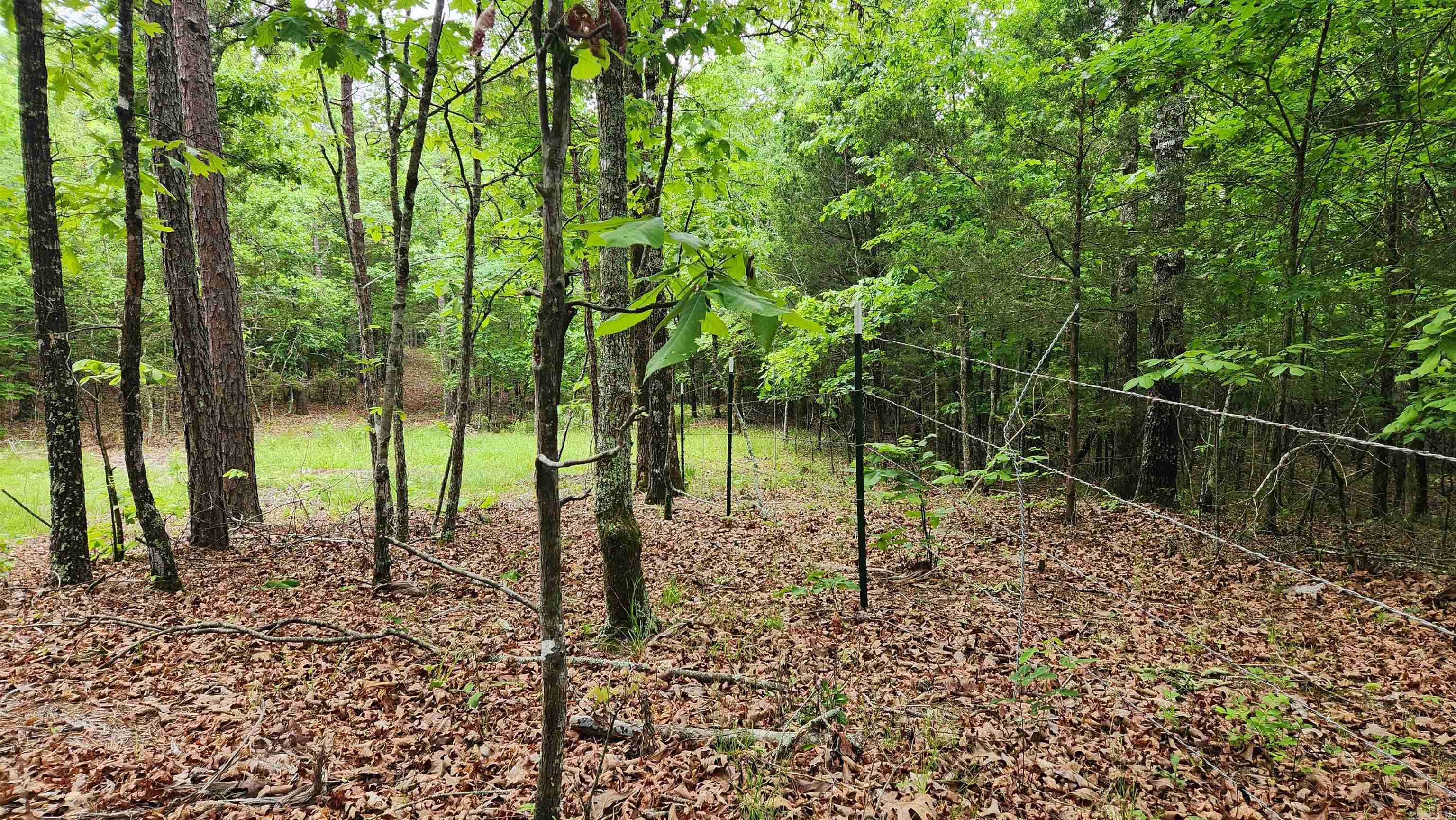 598 Ryan Road Property Photo 33