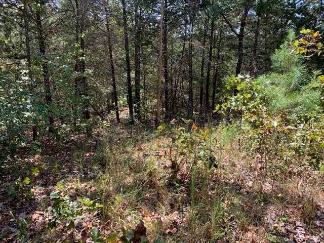 Tbd San Juan Trail Property Photo 4