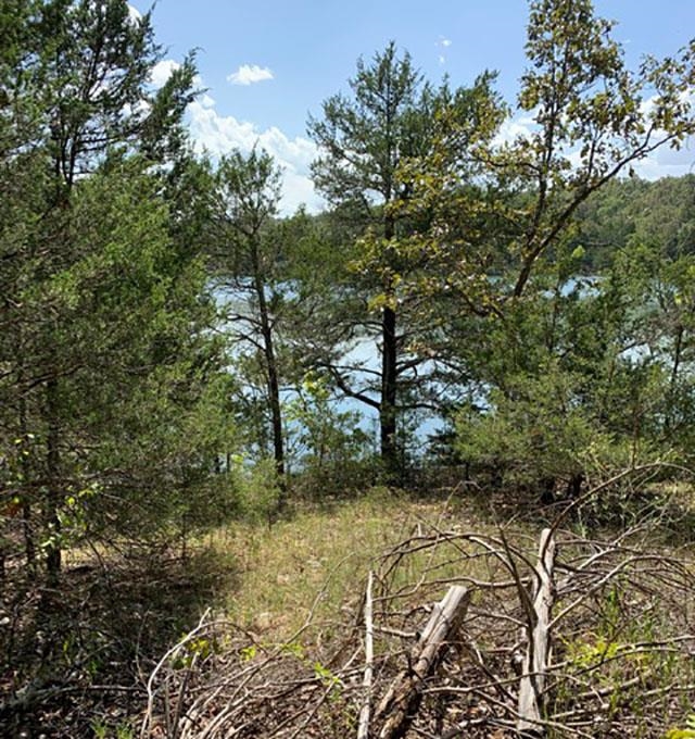 Tbd San Juan Trail Property Photo 5
