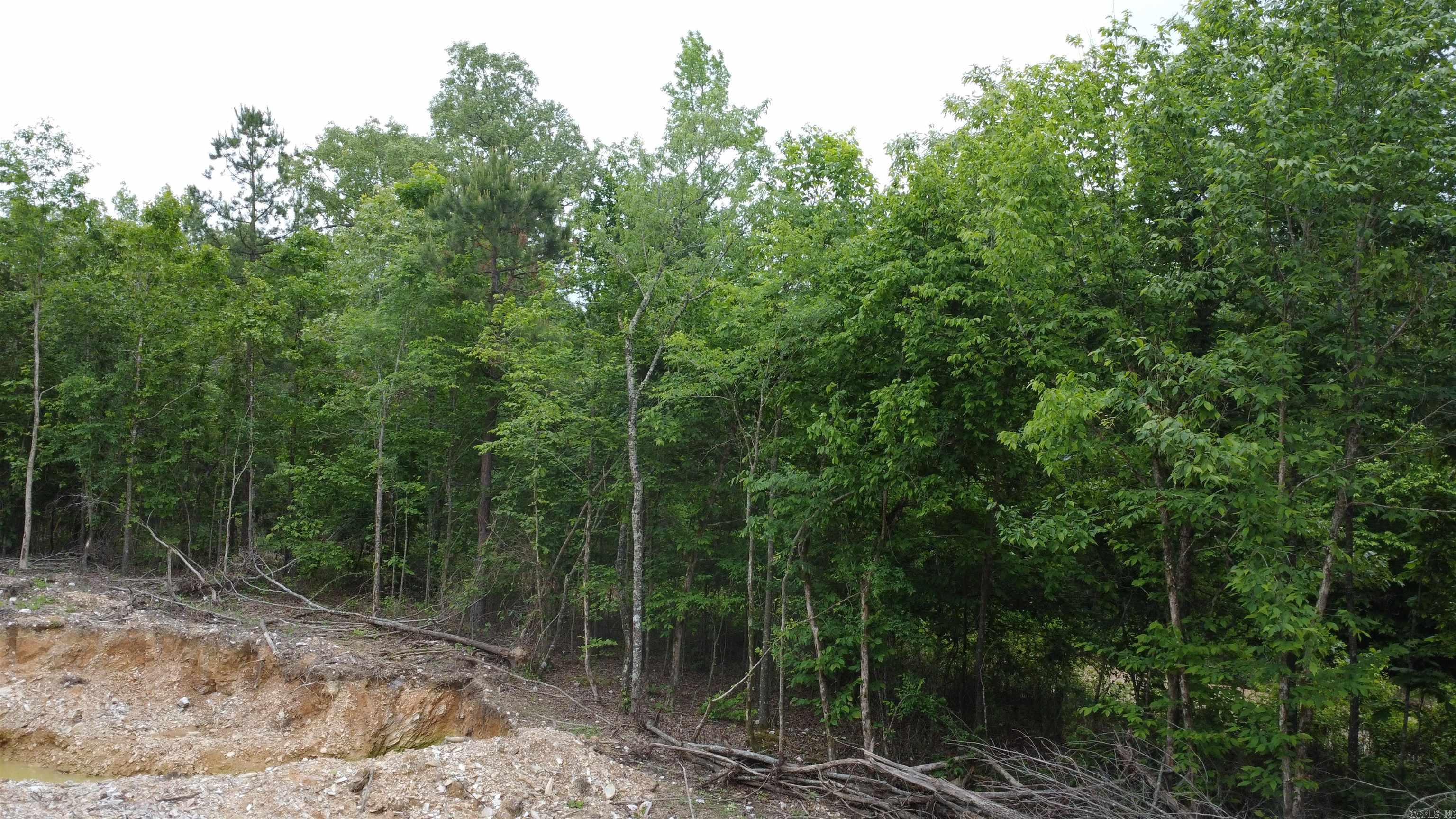 515 Ryan Road Property Photo 13