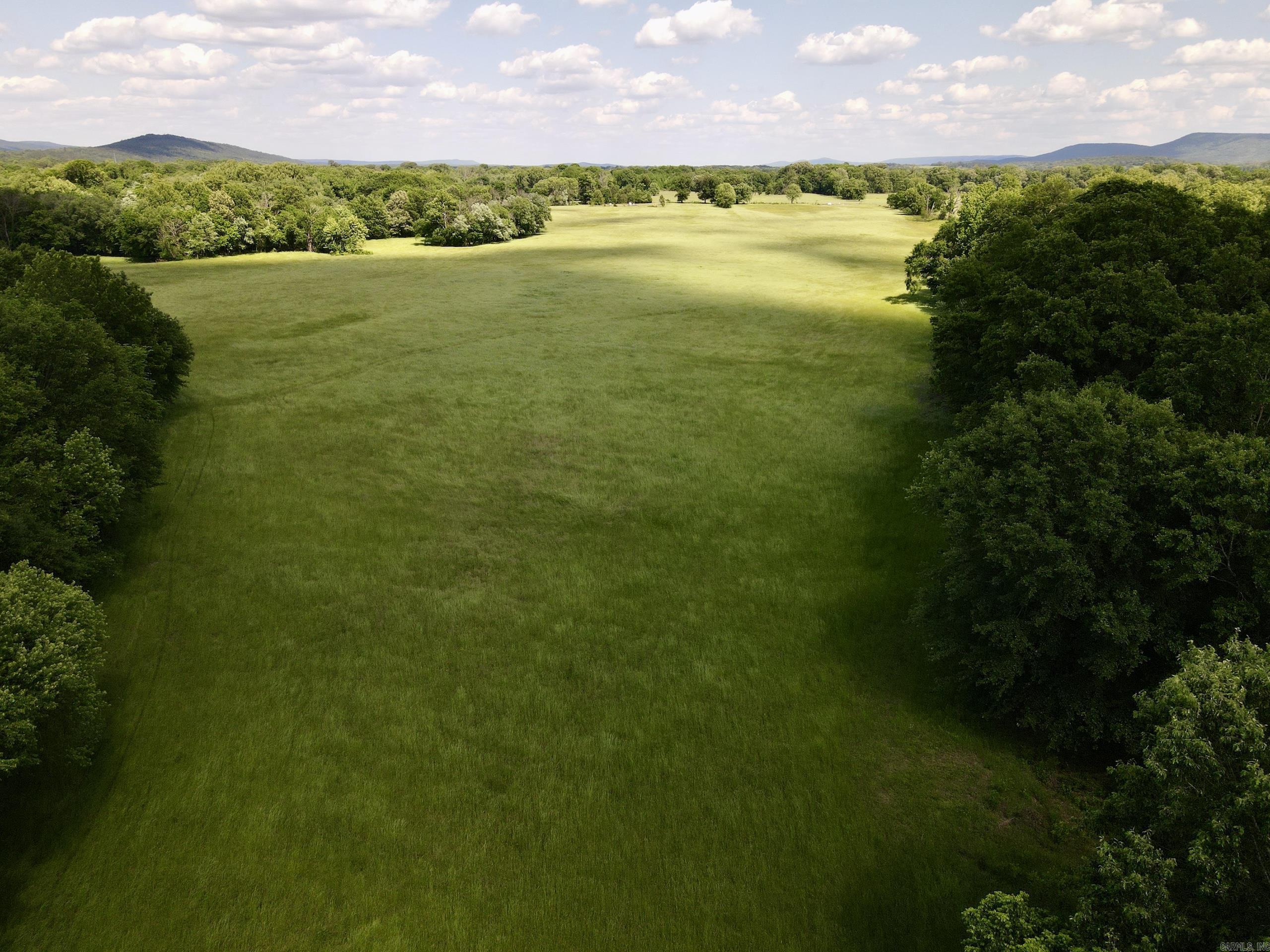 000 Hwy 309 Property Photo 11