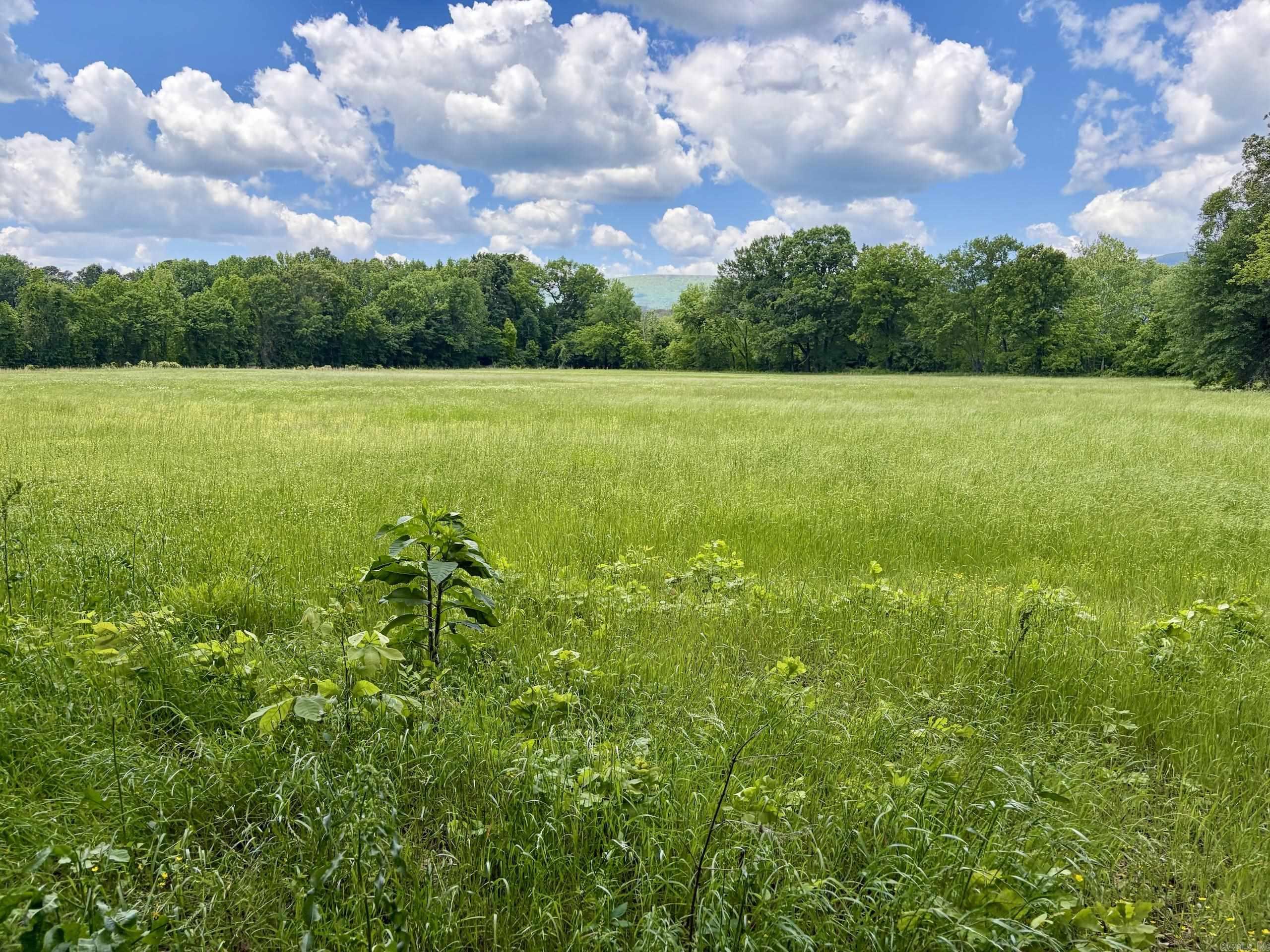 000 Hwy 309 Property Photo 15