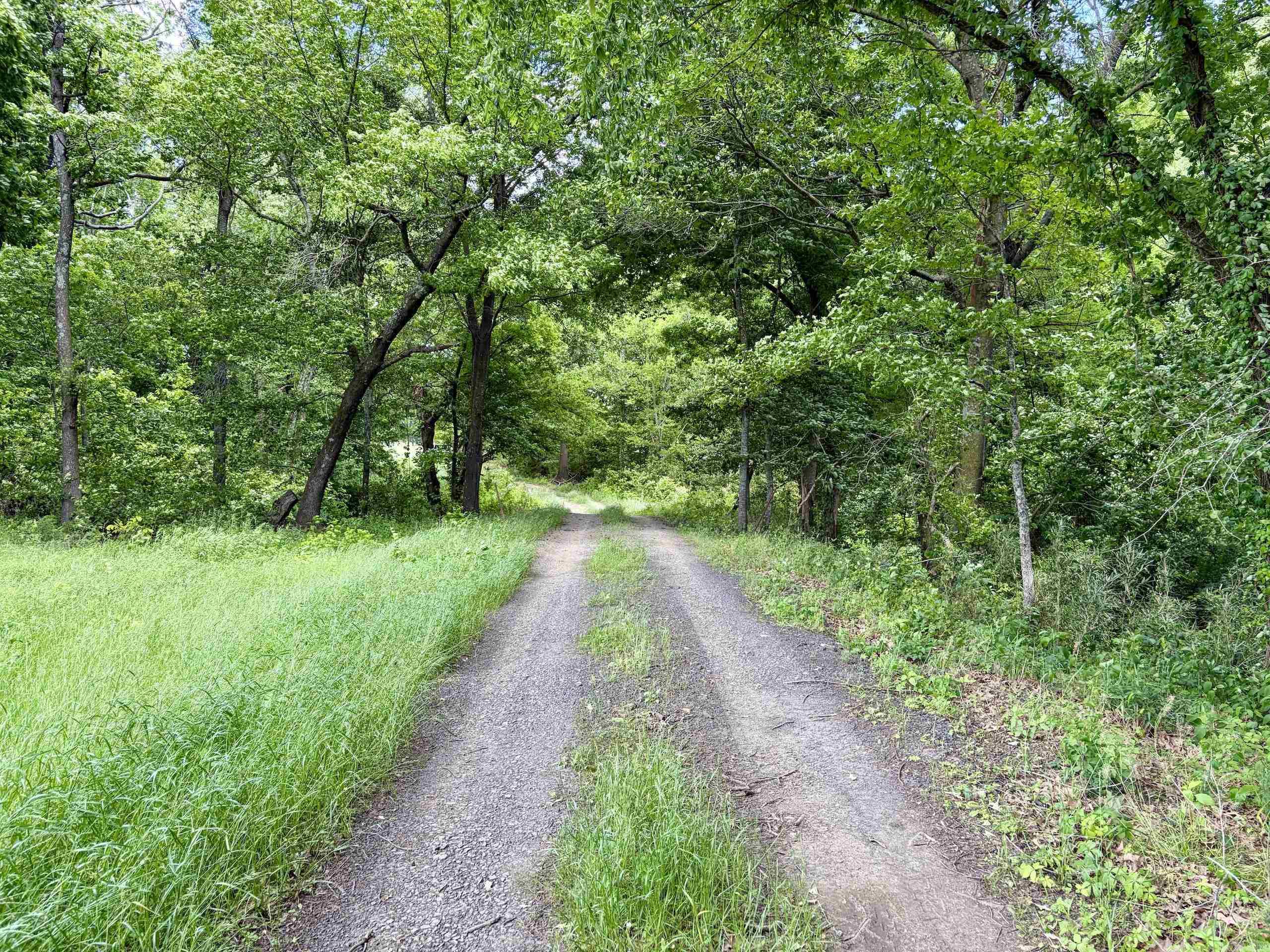 000 Hwy 309 Property Photo 17