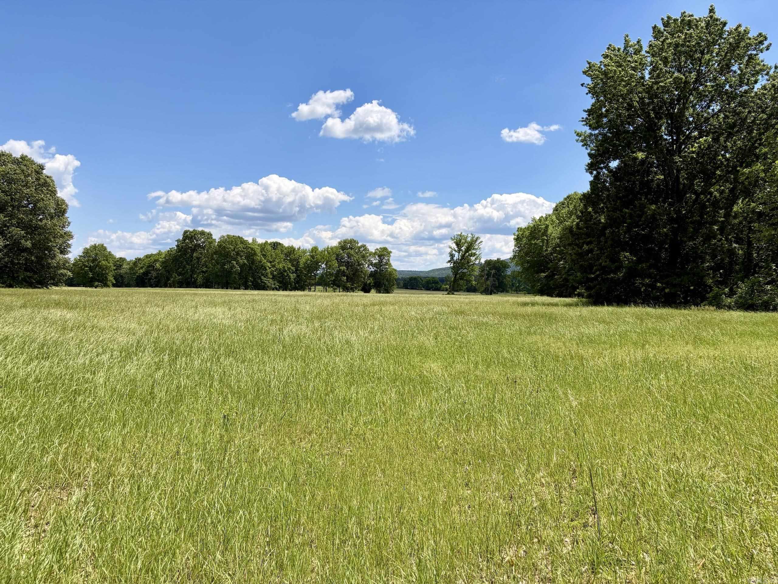 000 Hwy 309 Property Photo 23