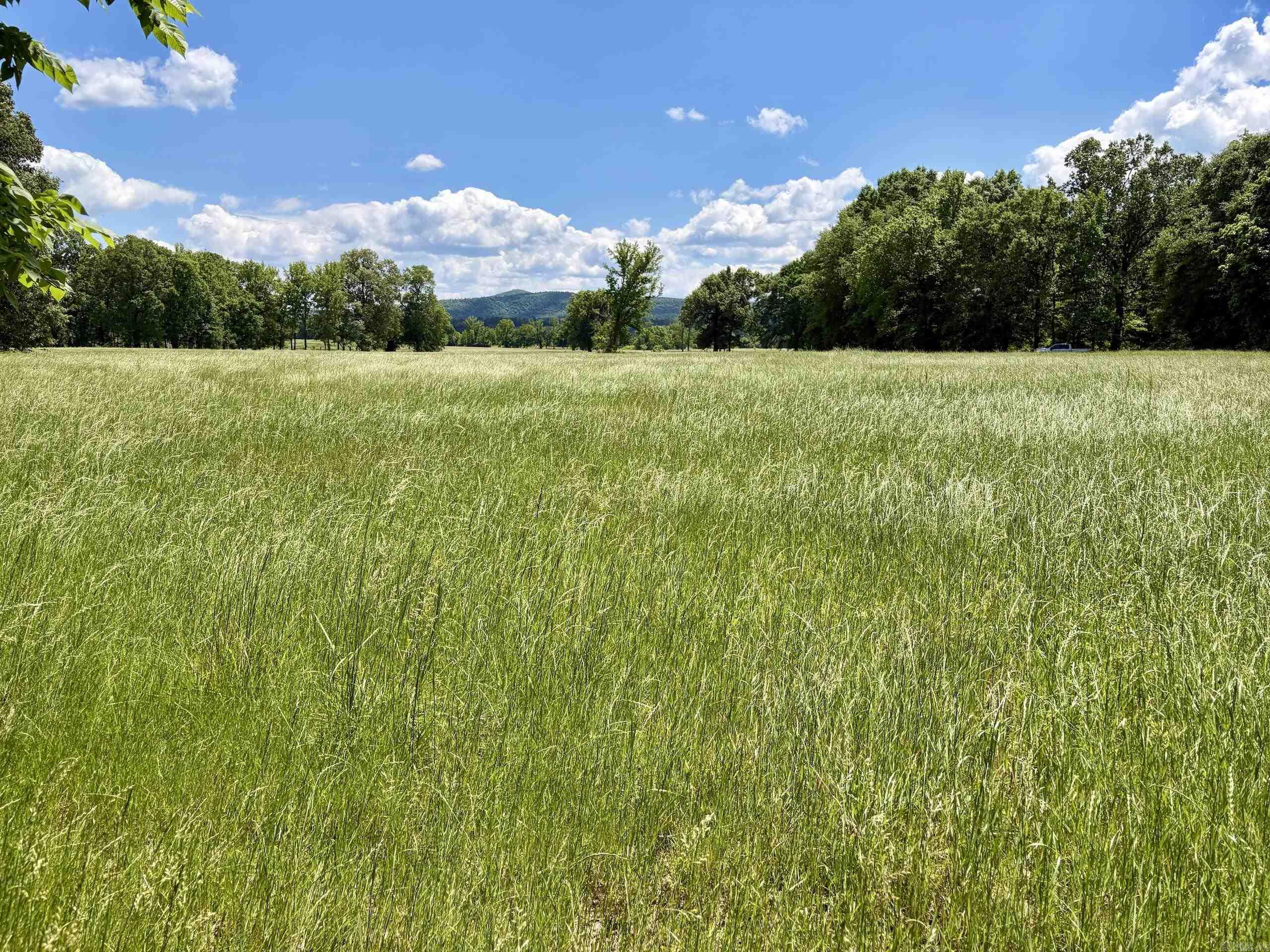 000 Hwy 309 Property Photo 27