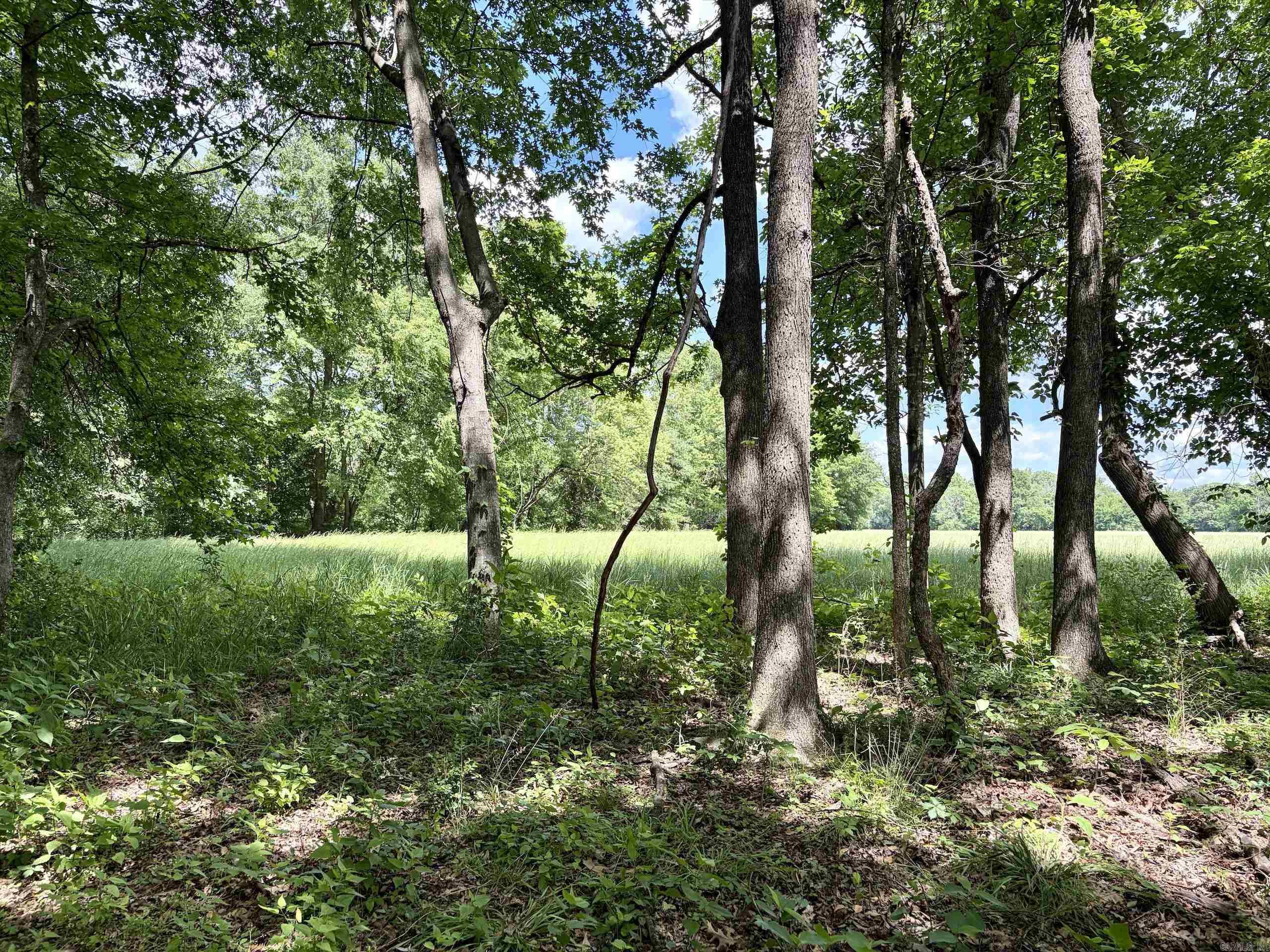 000 Hwy 309 Property Photo 28