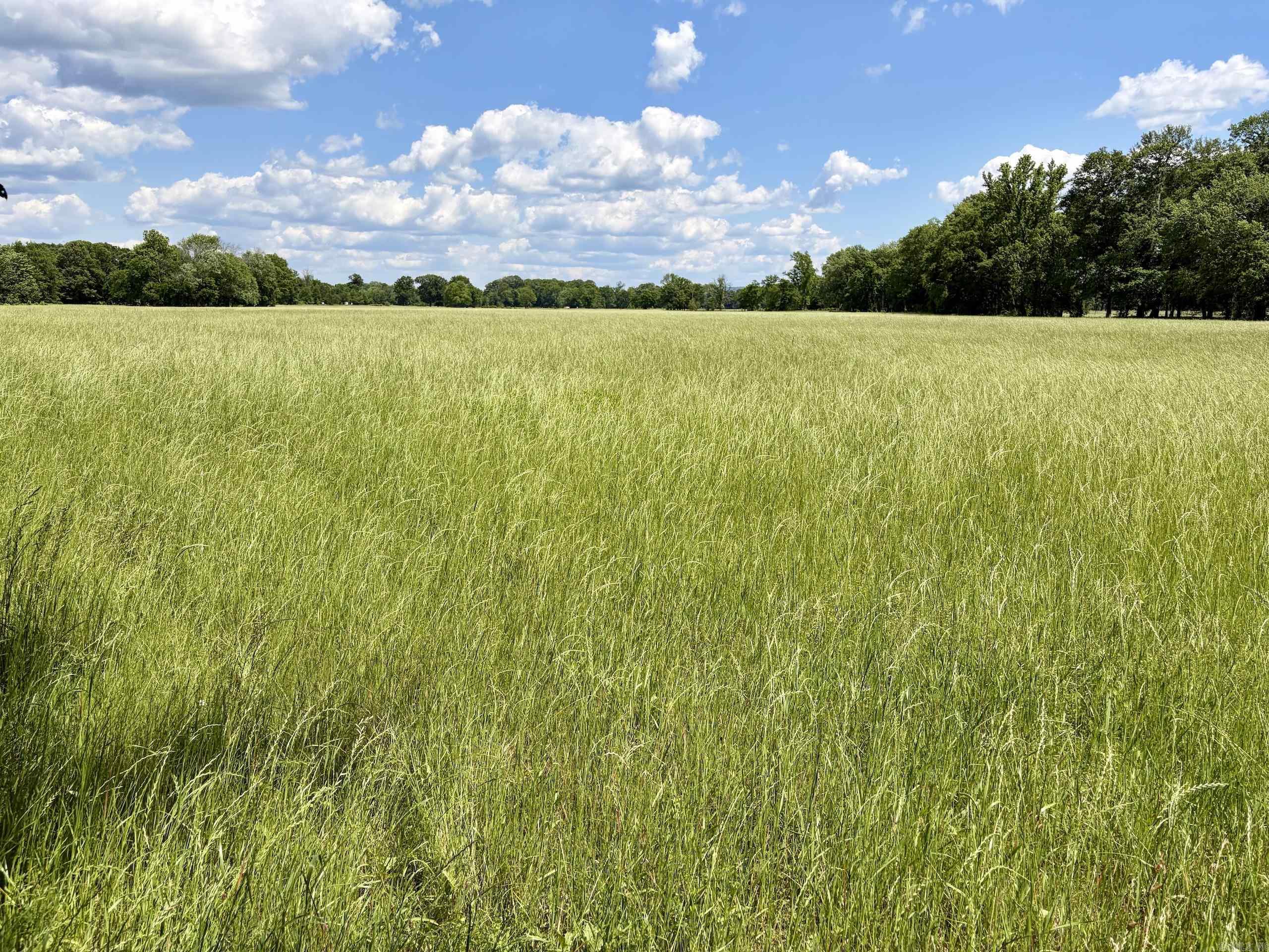 000 Hwy 309 Property Photo 35