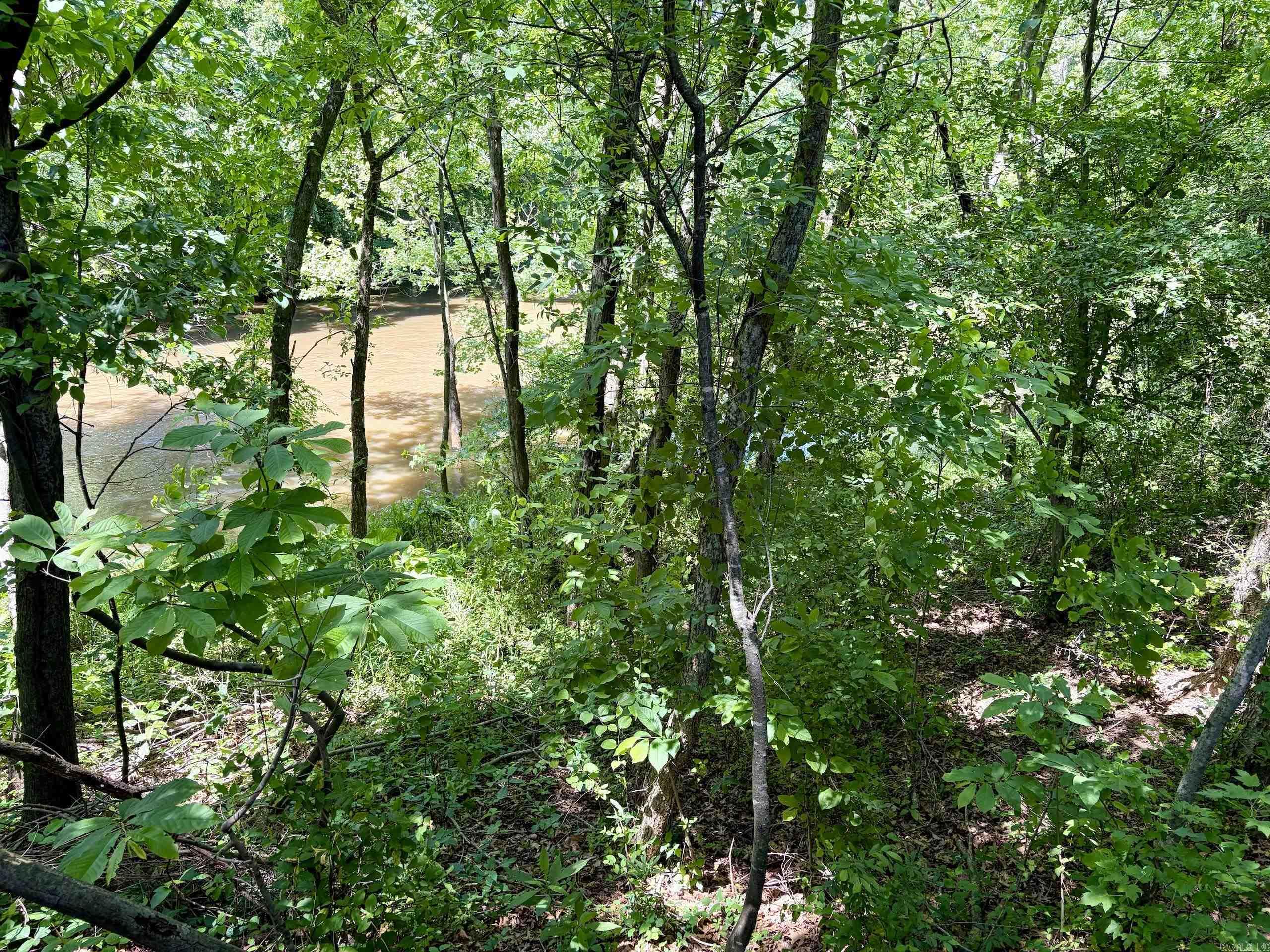 000 Hwy 309 Property Photo 38