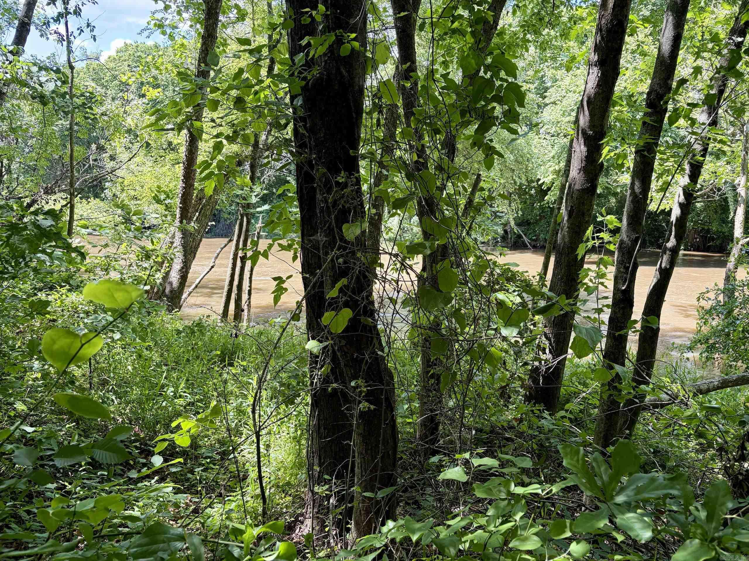 000 Hwy 309 Property Photo 39