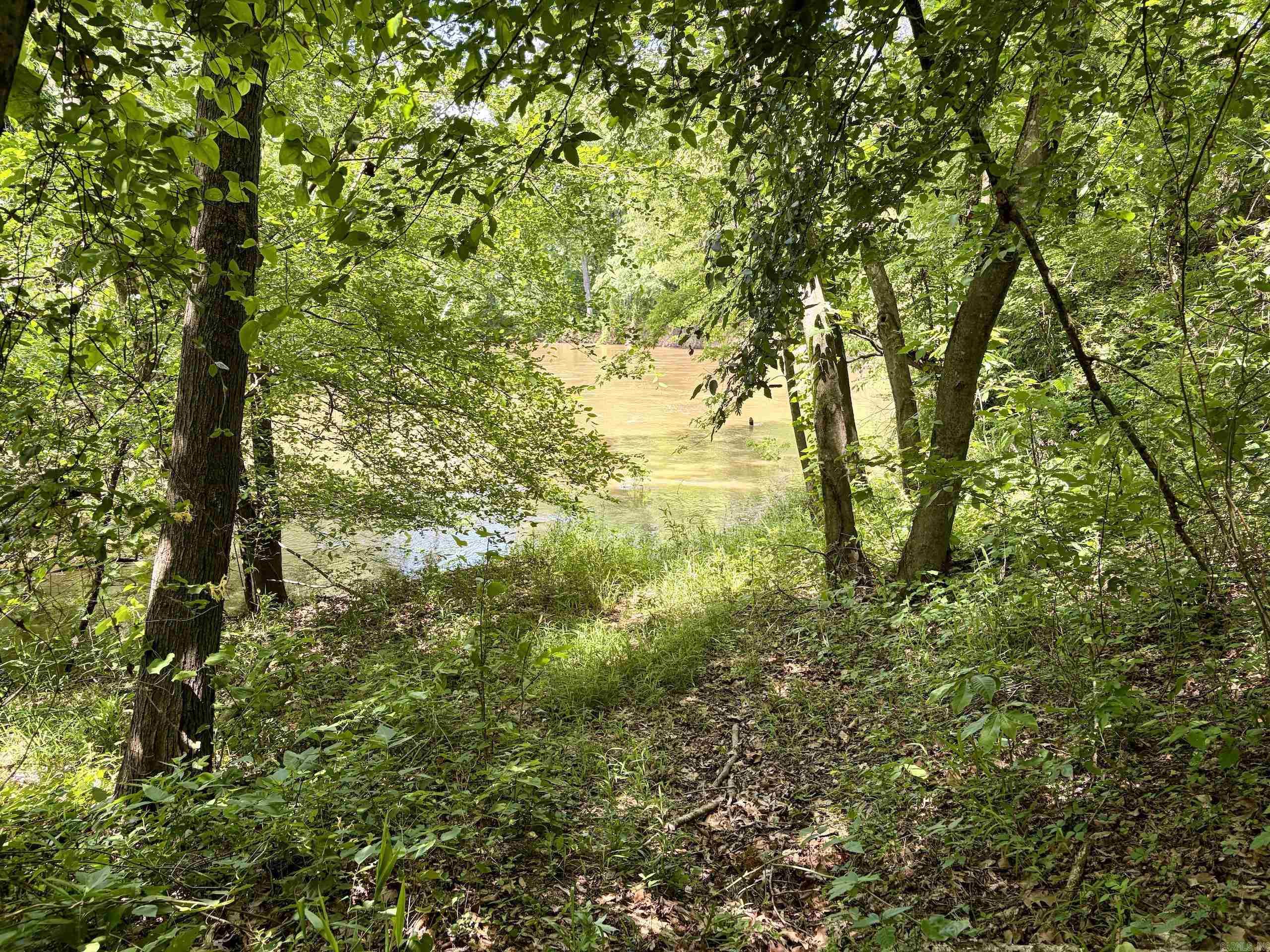 000 Hwy 309 Property Photo 40