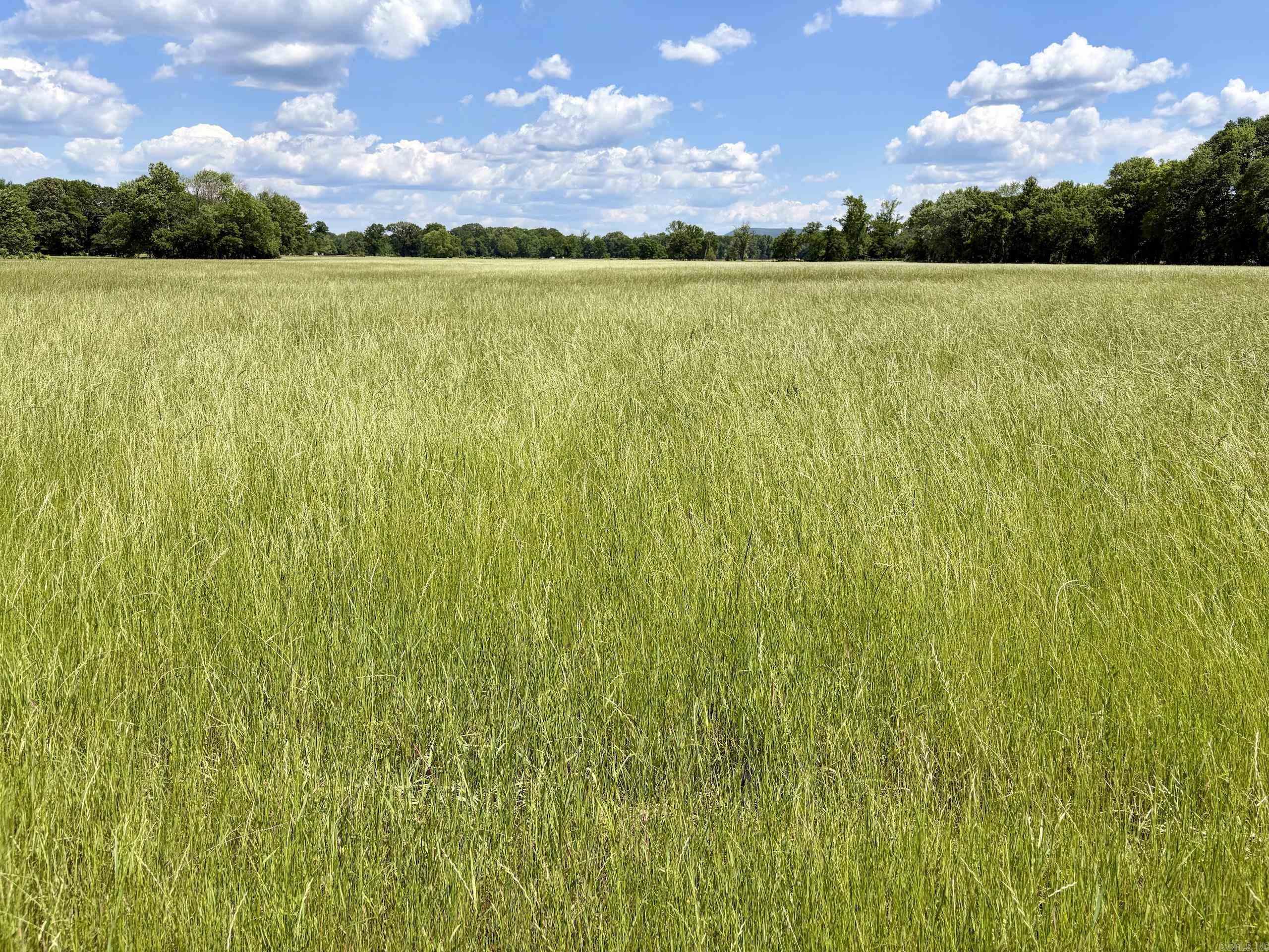000 Hwy 309 Property Photo 47