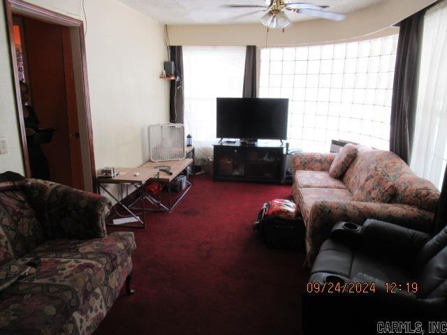 424 Highway 65 B Property Photo 13