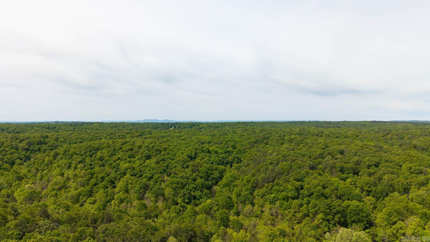 1163-1071 Fee Hollow Property Photo 8