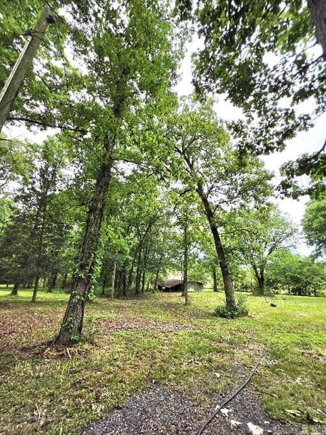 6311 Hwy 71 S Property Photo 5