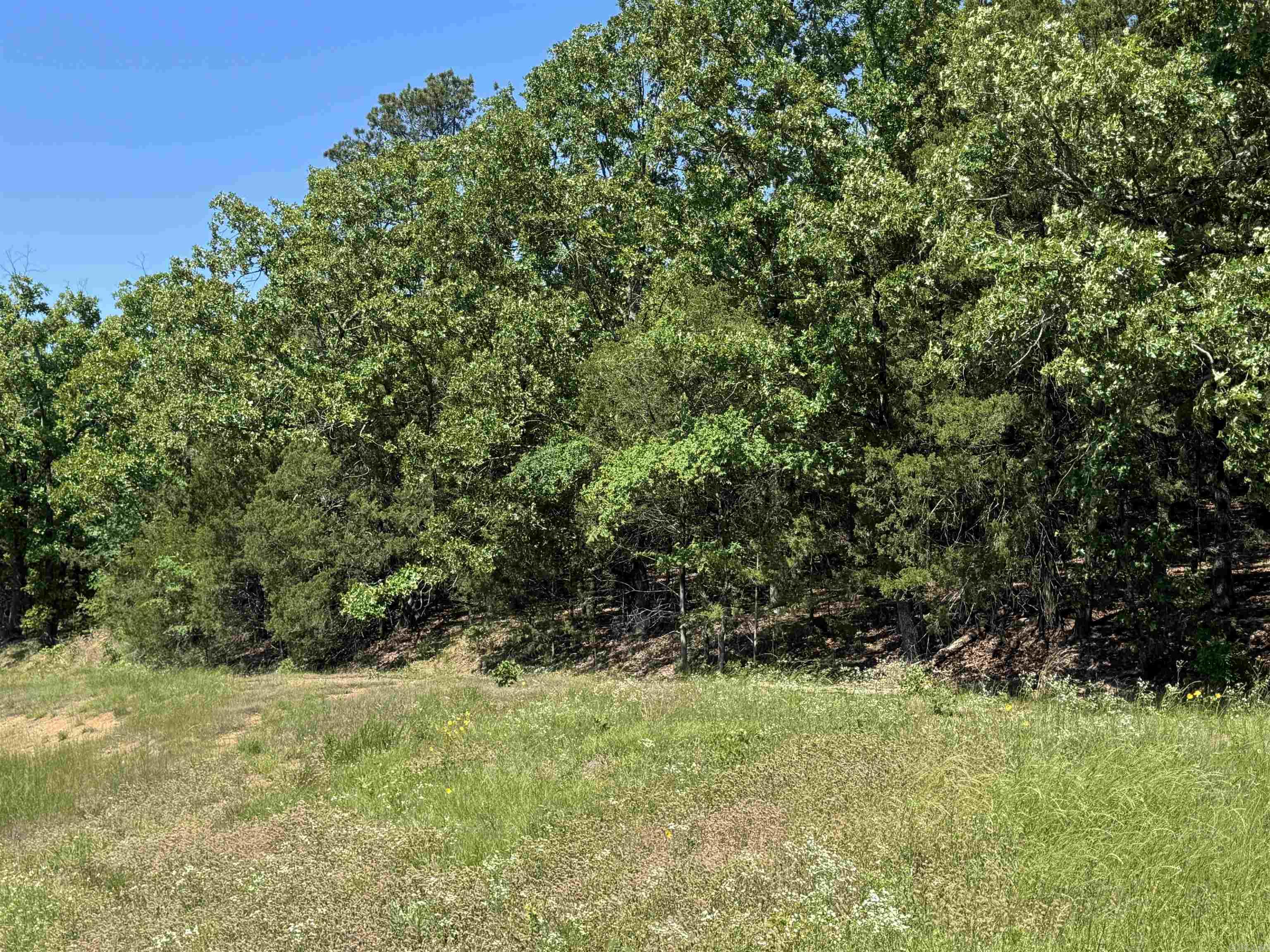 Highway 9 Property Photo 2