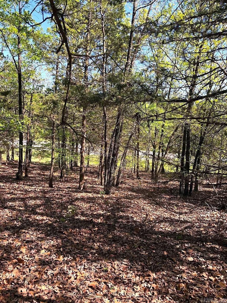 Highway 9 Property Photo 3