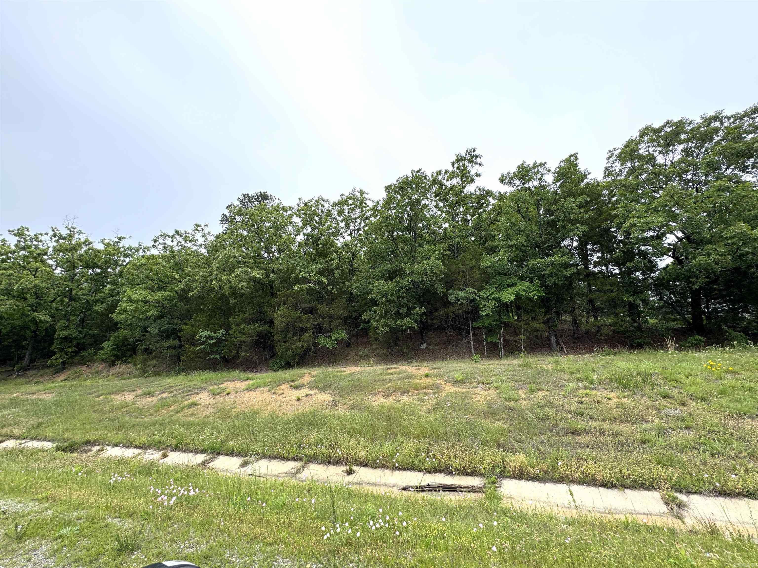 Highway 9 Property Photo 5