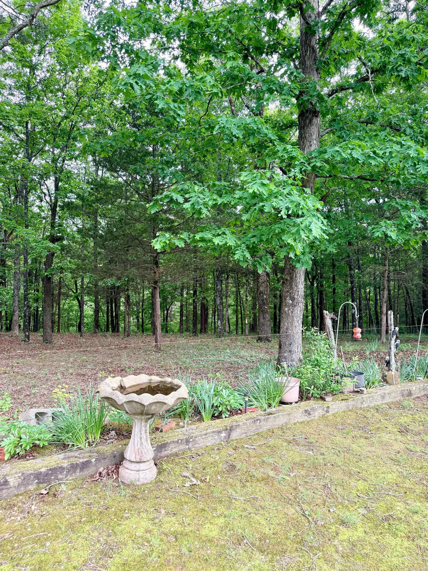 303 Burnett Road Property Photo 40