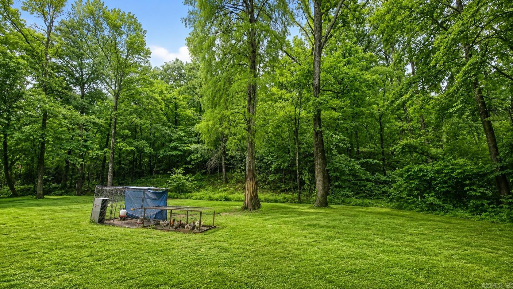 249 Highway 7 North Property Photo 25