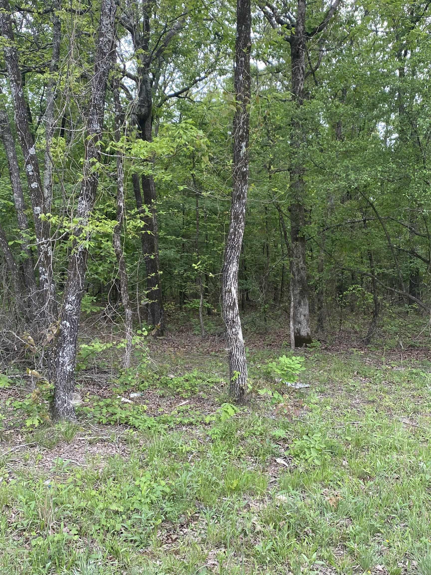 00 Jackson 347 Property Photo 1