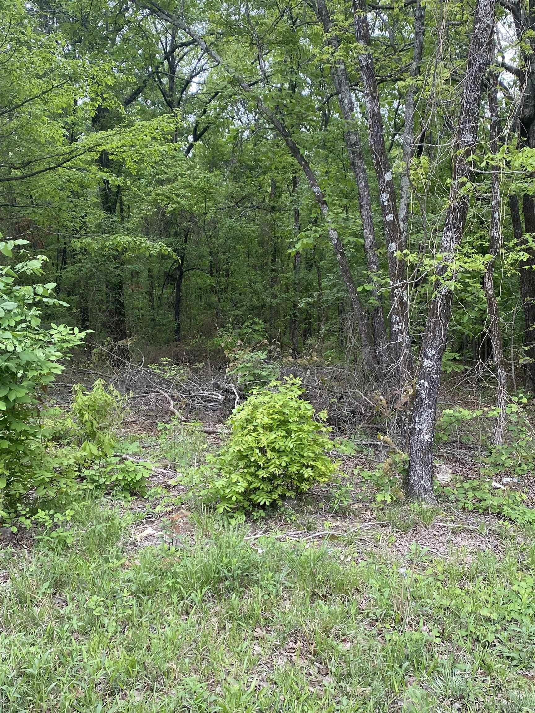 00 Jackson 347 Property Photo 2