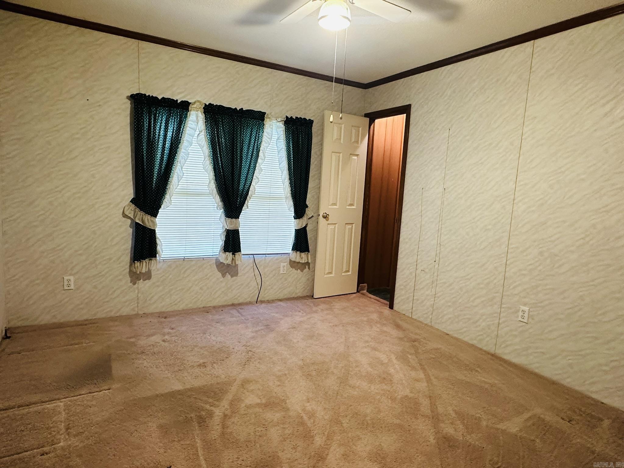 1429 Mimosa St Property Photo 24