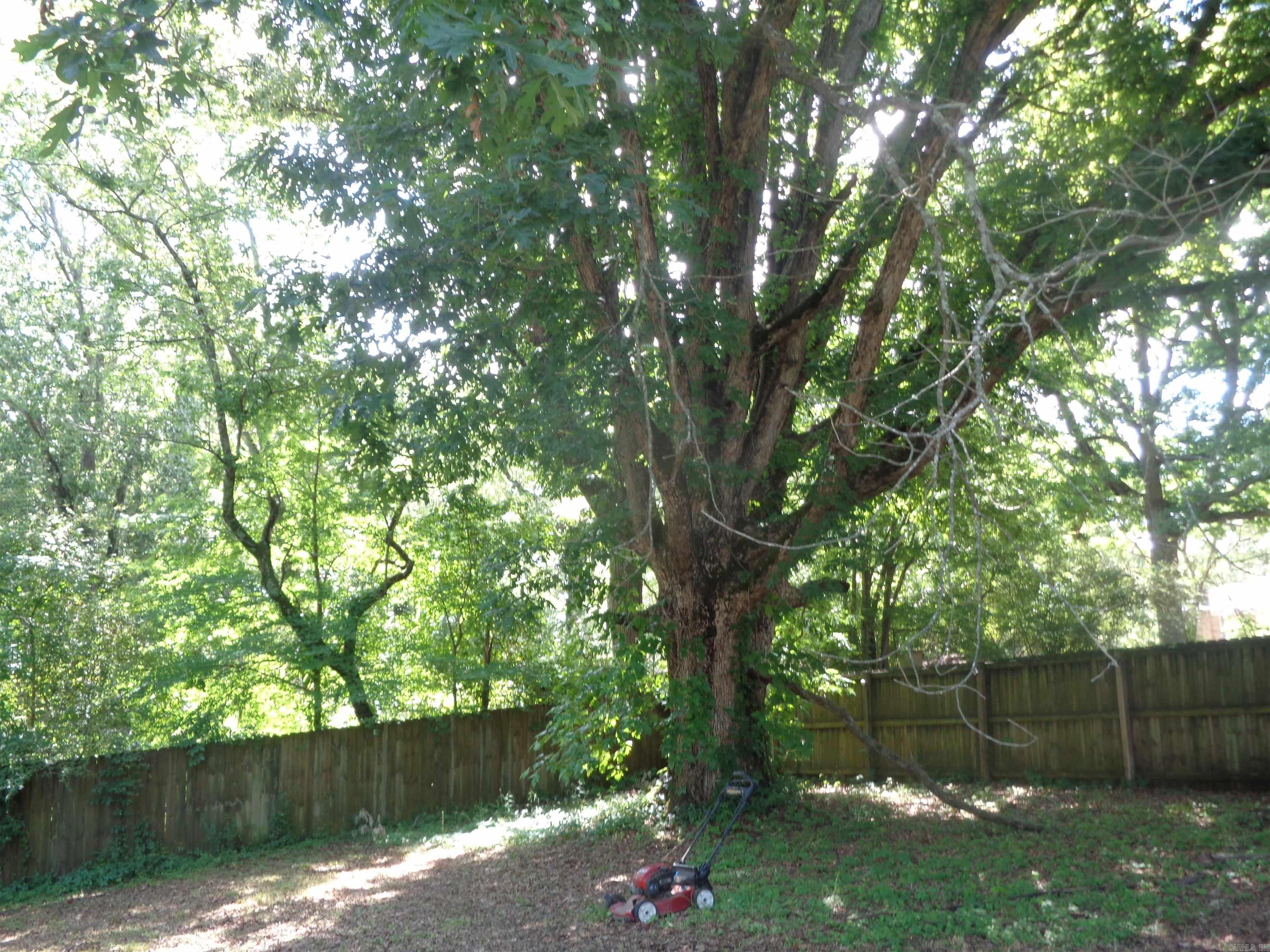 3101 Boyd Street Property Photo 16