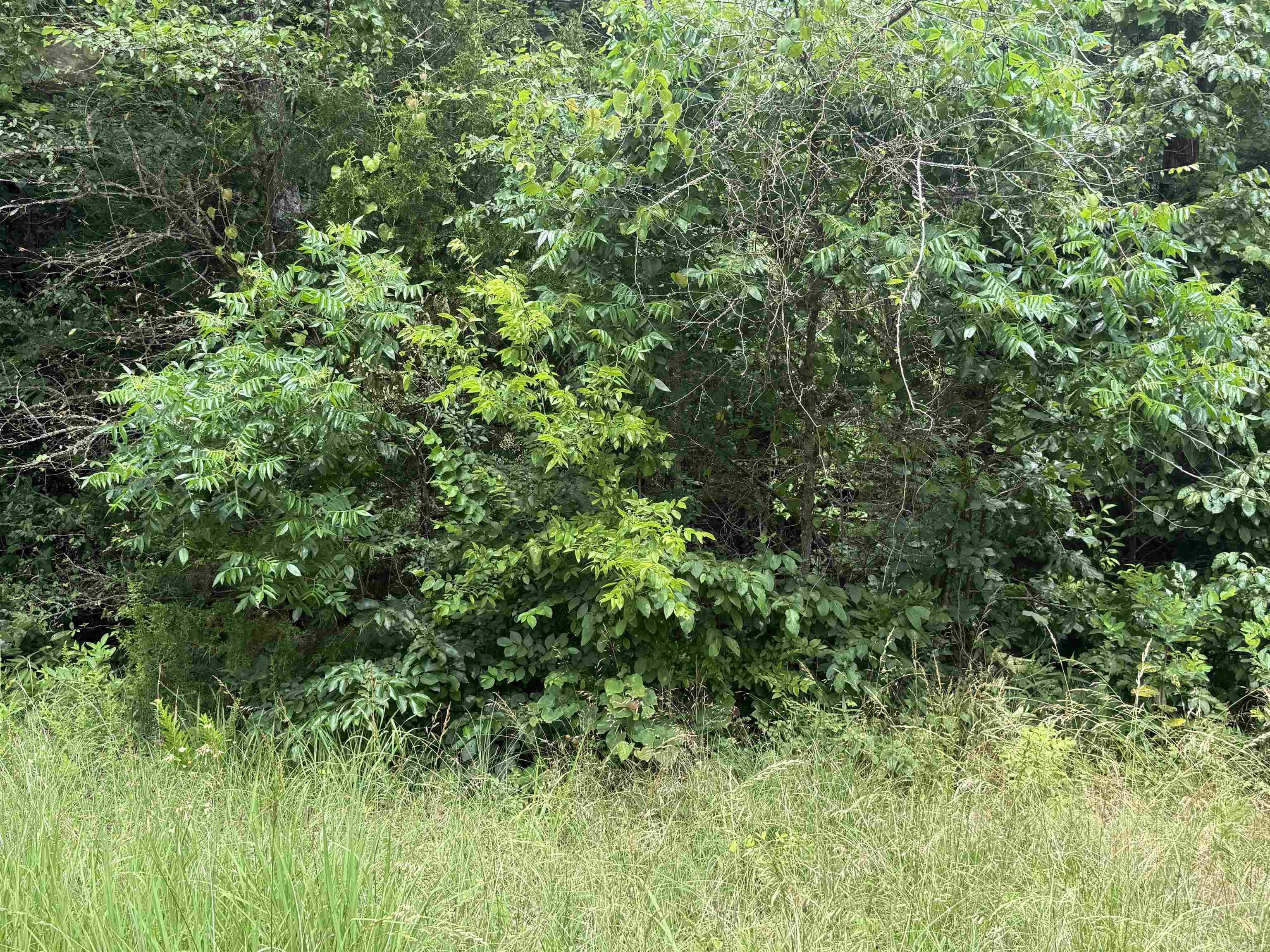 000 Iroquois Drive Property Photo 4