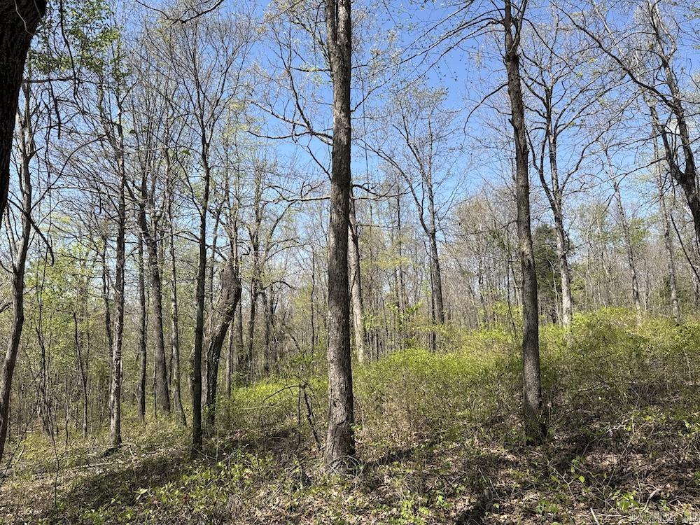 Tbd Liberty Road Property Photo 6