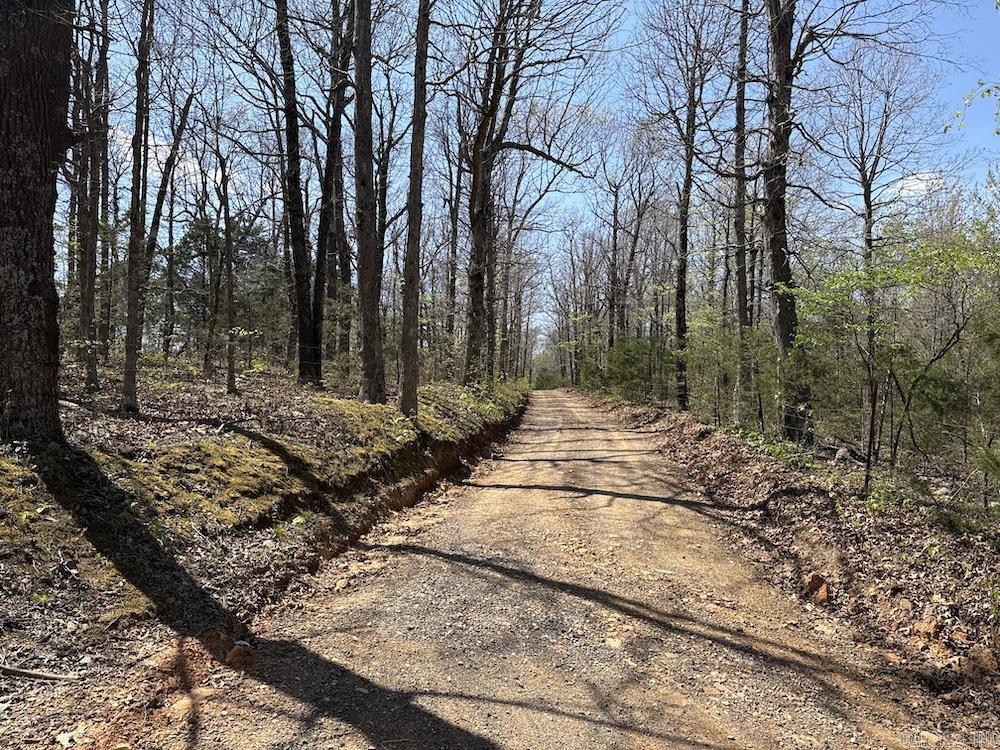 Tbd Liberty Road Property Photo 8